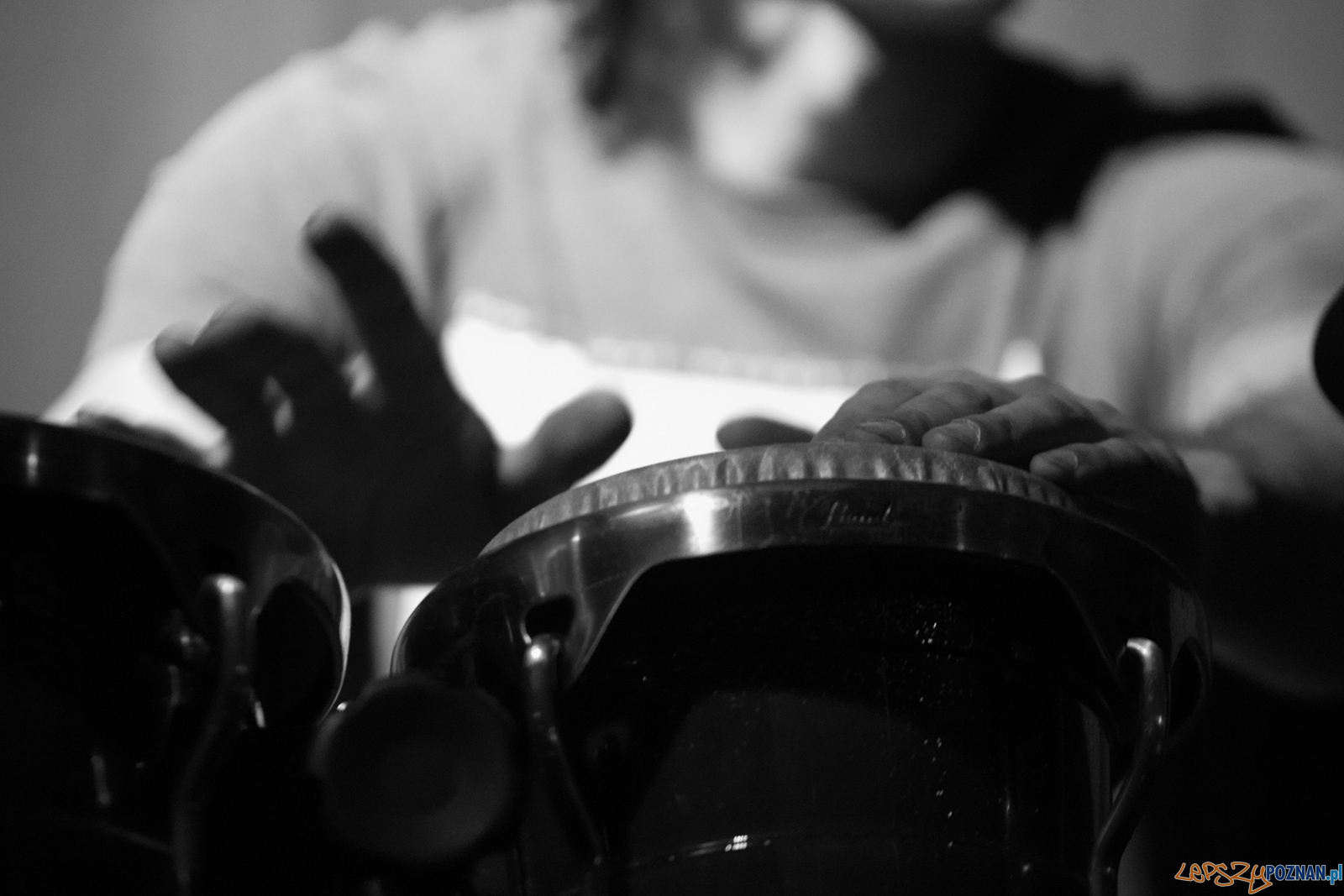 Panduri Trio - weekend gruziński u Pana Gara Foto: lepszyPOZNAN.pl / Ewelina Jaśkowiak Panduri Trio - weekend gruziński u Pana Gara Foto: lepszyPOZNAN.pl / Ewelina Jaśkowiak