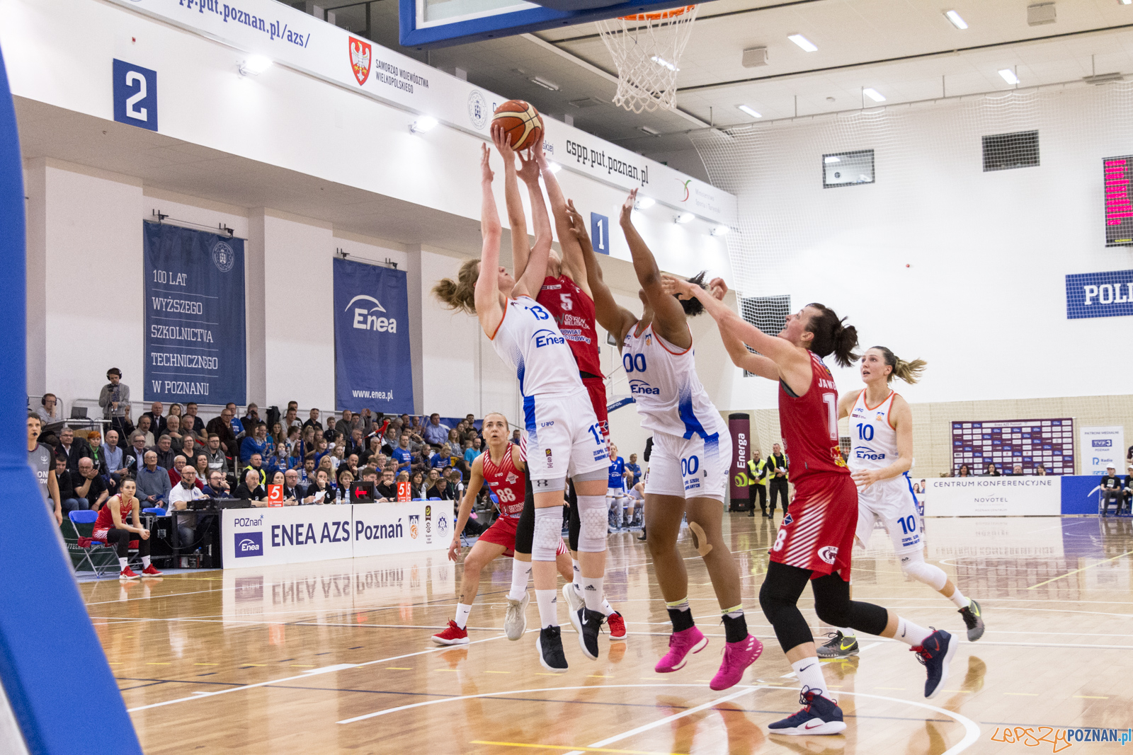 Enea AZS Poznań – TS Ostrovia Ostrów Wlkp. 69:68 - Poznań 2 Foto: LepszyPOZNAN.pl / Paweł Rychter Enea AZS Poznań – TS Ostrovia Ostrów Wlkp. 69:68 - Poznań 2 Foto: LepszyPOZNAN.pl / Paweł Rychter