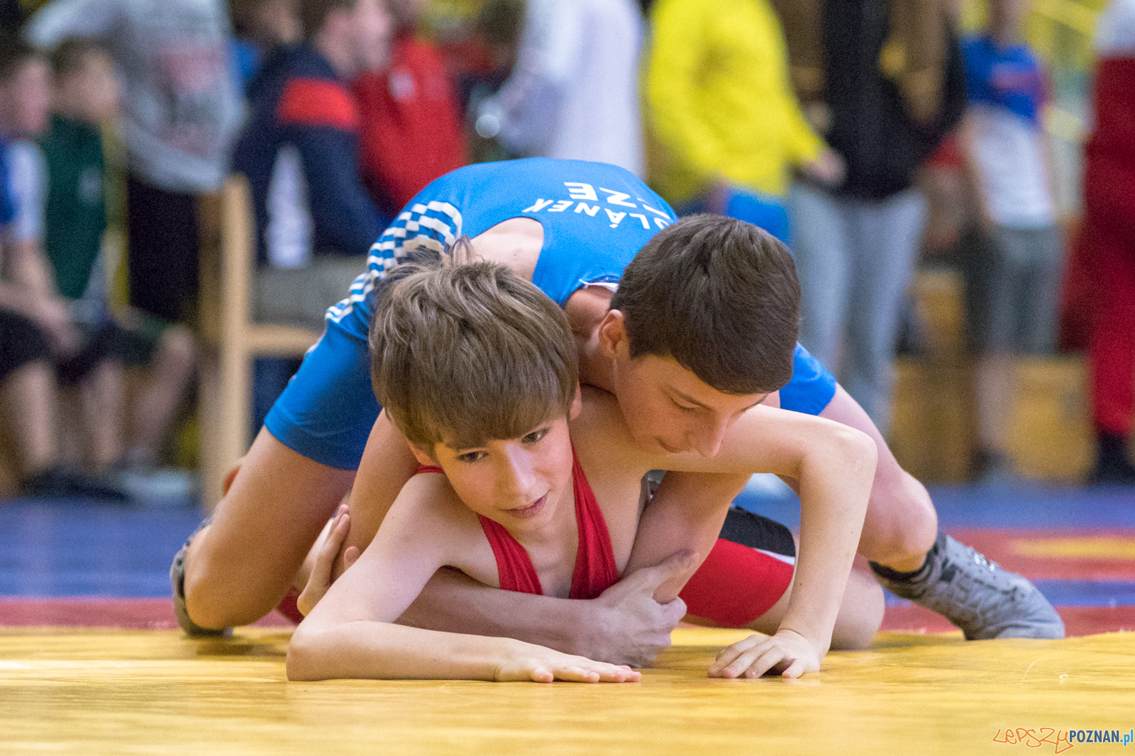 XXVII Międzynarodowy Turniej Zapaśniczy o
Puchar Sobieskiego Foto: lepszyPOZNAN.pl/Piotr Rychter XXVII Międzynarodowy Turniej Zapaśniczy o
Puchar Sobieskiego Foto: lepszyPOZNAN.pl/Piotr Rychter