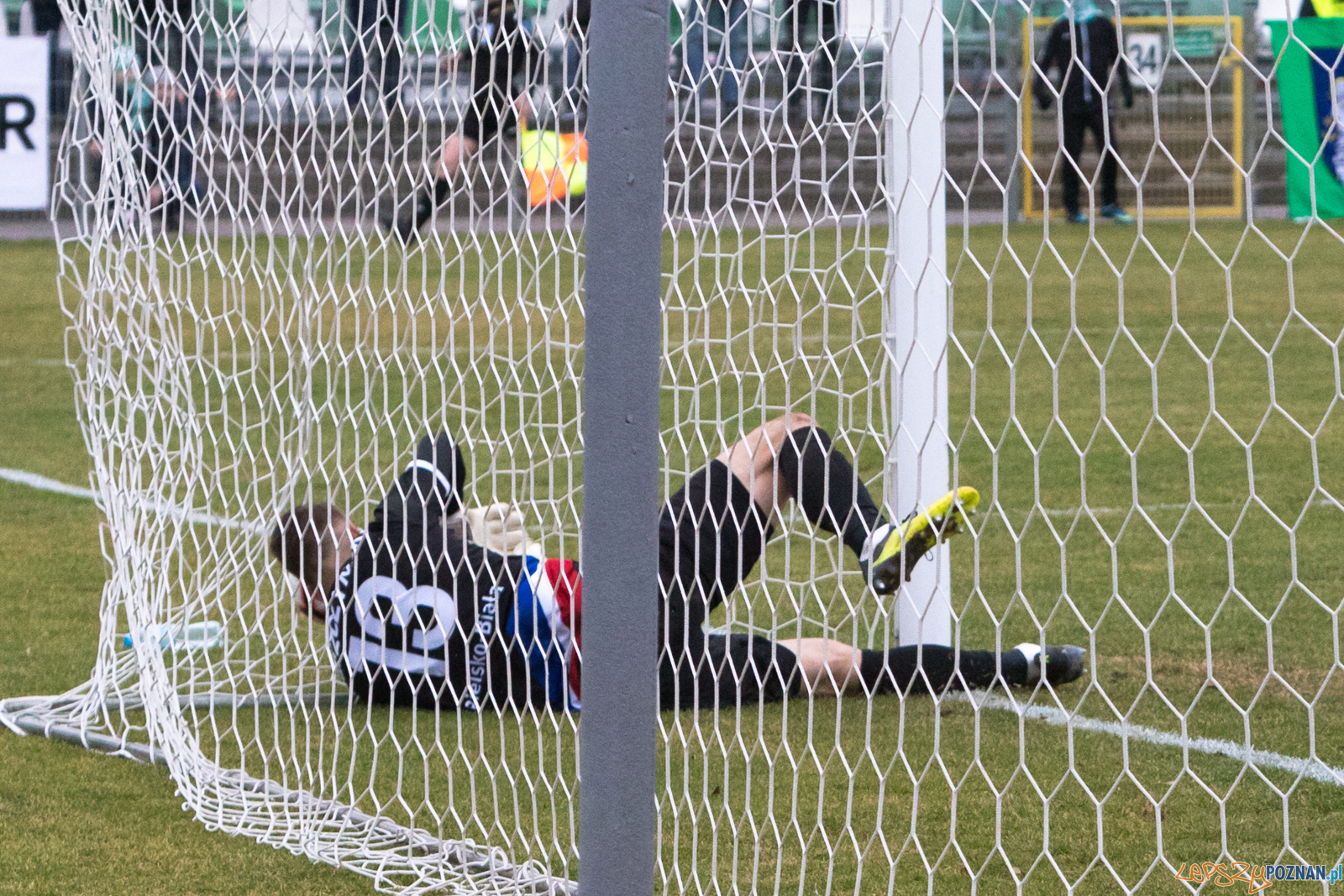 Warta Poznań - Podbeskidzie Bielsko-Biała Foto: lepszyPOZNAN.pl/Piotr Rychter Warta Poznań - Podbeskidzie Bielsko-Biała Foto: lepszyPOZNAN.pl/Piotr Rychter