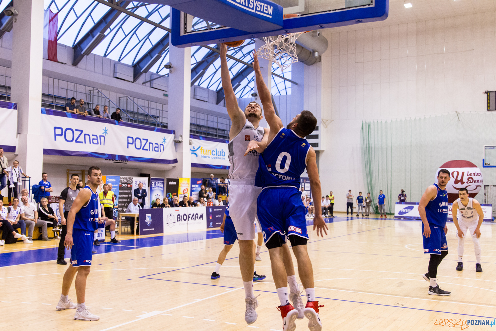 Biofarm Basket Poznań - Górnik Trans.eu Wałbrzych 79:55 - Poz Foto: LepszyPOZNAN.pl / Paweł Rychter Biofarm Basket Poznań - Górnik Trans.eu Wałbrzych 79:55 - Poz Foto: LepszyPOZNAN.pl / Paweł Rychter