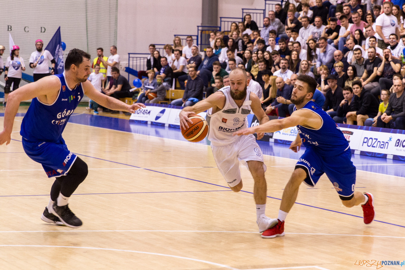 Biofarm Basket Poznań - Górnik Trans.eu Wałbrzych 79:55 - Poz Foto: LepszyPOZNAN.pl / Paweł Rychter Biofarm Basket Poznań - Górnik Trans.eu Wałbrzych 79:55 - Poz Foto: LepszyPOZNAN.pl / Paweł Rychter