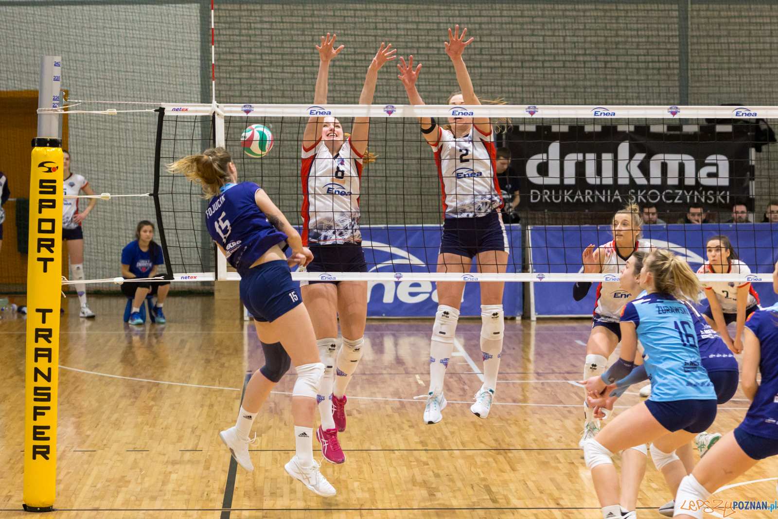 PlayOff: Enea Energetyk Poznań - Joker Mekro Świecie Foto: lepszyPOZNAN.pl/Piotr Rychter PlayOff: Enea Energetyk Poznań - Joker Mekro Świecie Foto: lepszyPOZNAN.pl/Piotr Rychter