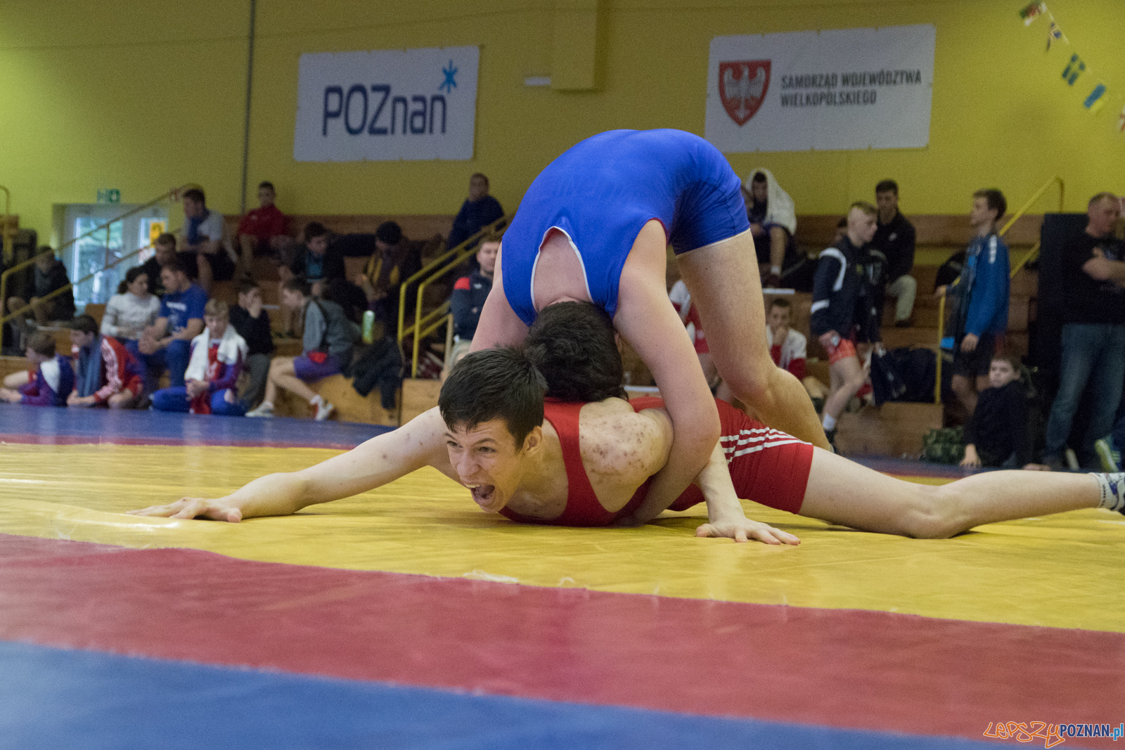 XXVII Międzynarodowy Turniej Zapaśniczy o Puchar Sobieskiego Foto: lepszyPOZNAN.pl / Ewelina Jaśkowiak XXVII Międzynarodowy Turniej Zapaśniczy o Puchar Sobieskiego Foto: lepszyPOZNAN.pl / Ewelina Jaśkowiak
