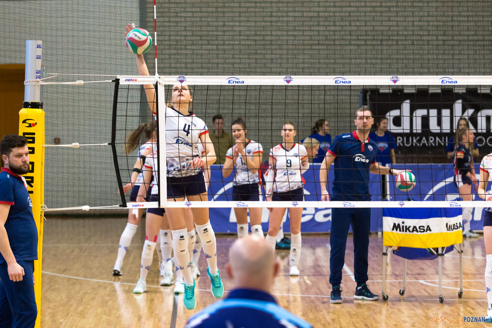 PlayOff: Enea Energetyk Poznań - Joker Mekro Świecie Foto: lepszyPOZNAN.pl/Piotr Rychter PlayOff: Enea Energetyk Poznań - Joker Mekro Świecie Foto: lepszyPOZNAN.pl/Piotr Rychter