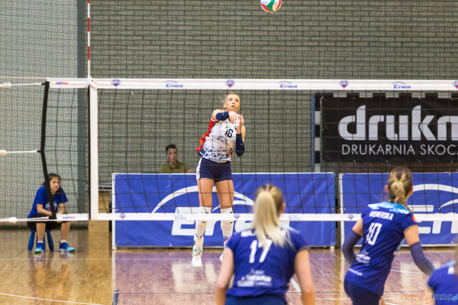 PlayOff: Enea Energetyk Poznań - Joker Mekro Świecie Foto: lepszyPOZNAN.pl/Piotr Rychter PlayOff: Enea Energetyk Poznań - Joker Mekro Świecie Foto: lepszyPOZNAN.pl/Piotr Rychter