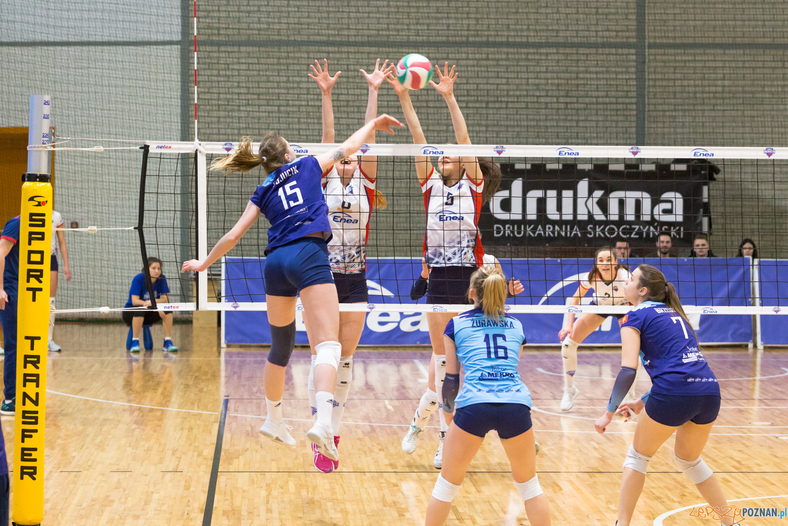 PlayOff: Enea Energetyk Poznań - Joker Mekro Świecie Foto: lepszyPOZNAN.pl/Piotr Rychter PlayOff: Enea Energetyk Poznań - Joker Mekro Świecie Foto: lepszyPOZNAN.pl/Piotr Rychter