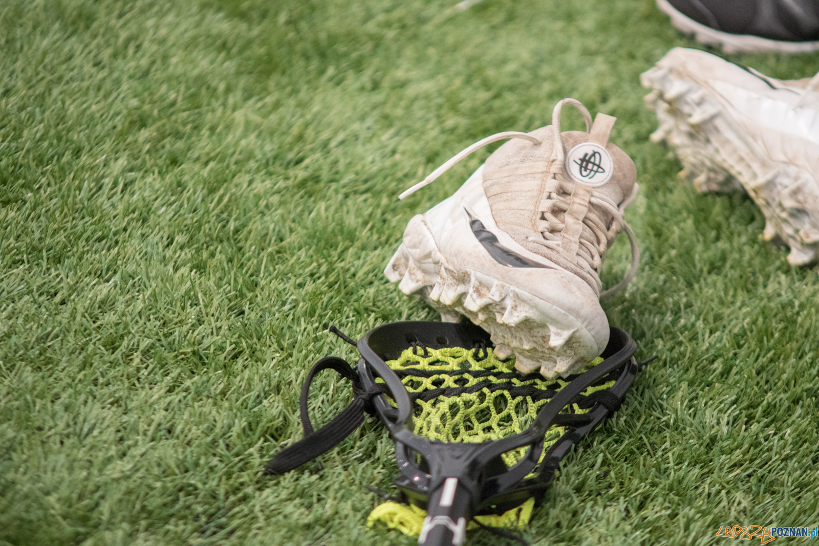 Poznań Hussars vs Grom Warszawa Foto: lepszyPOZNAN.pl / Ewelina Jaśkowiak Poznań Hussars vs Grom Warszawa Foto: lepszyPOZNAN.pl / Ewelina Jaśkowiak