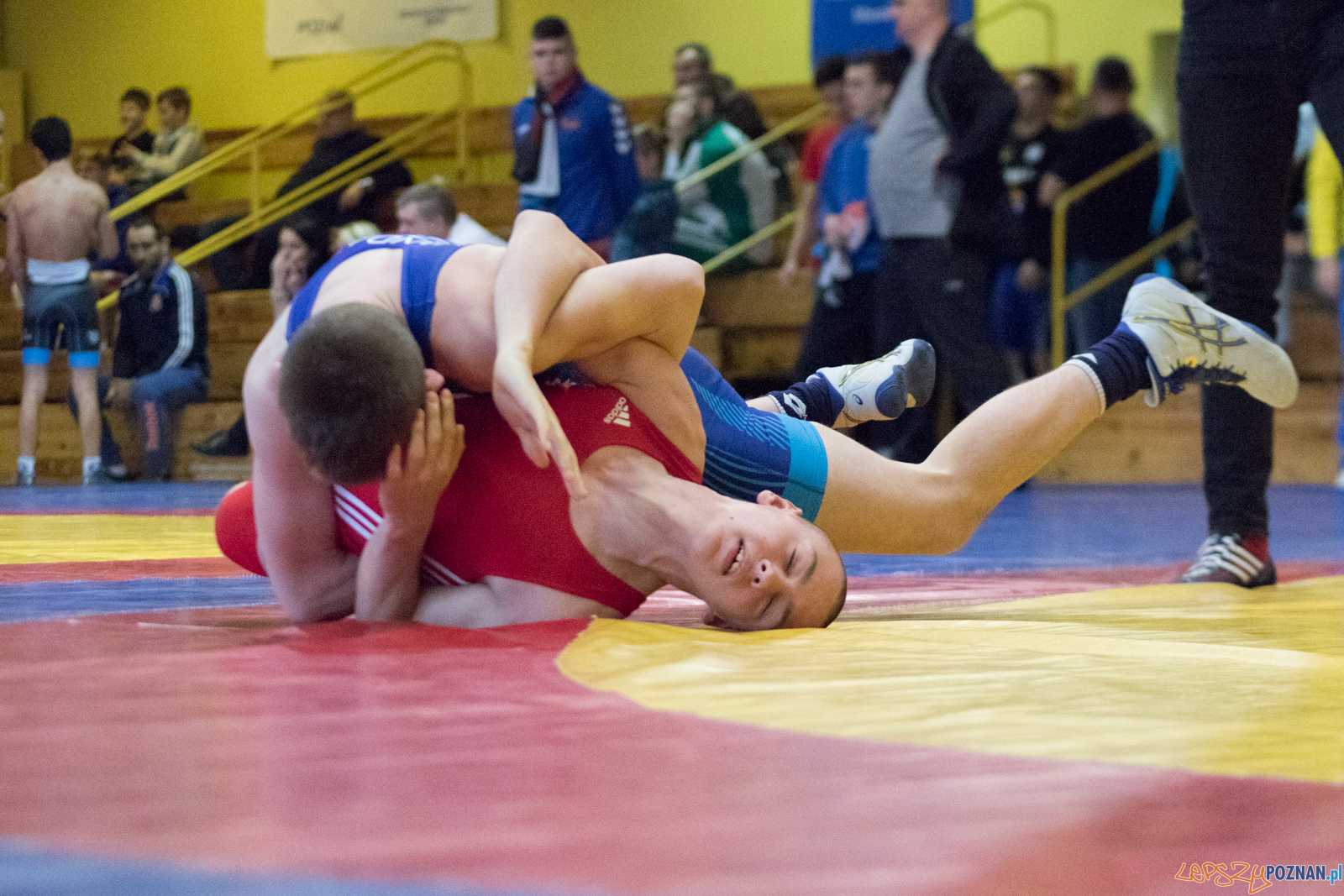 XXVII Międzynarodowy Turniej Zapaśniczy o Puchar Sobieskiego Foto: lepszyPOZNAN.pl / Ewelina Jaśkowiak XXVII Międzynarodowy Turniej Zapaśniczy o Puchar Sobieskiego Foto: lepszyPOZNAN.pl / Ewelina Jaśkowiak