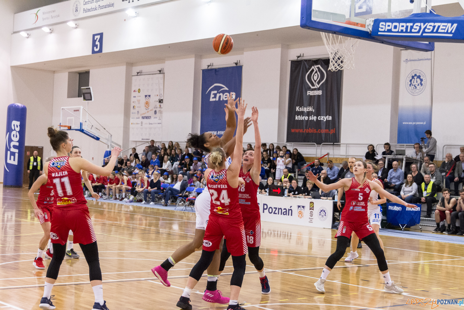Enea AZS Poznań – TS Ostrovia Ostrów Wlkp. 69:68 - Poznań 2 Foto: LepszyPOZNAN.pl / Paweł Rychter Enea AZS Poznań – TS Ostrovia Ostrów Wlkp. 69:68 - Poznań 2 Foto: LepszyPOZNAN.pl / Paweł Rychter