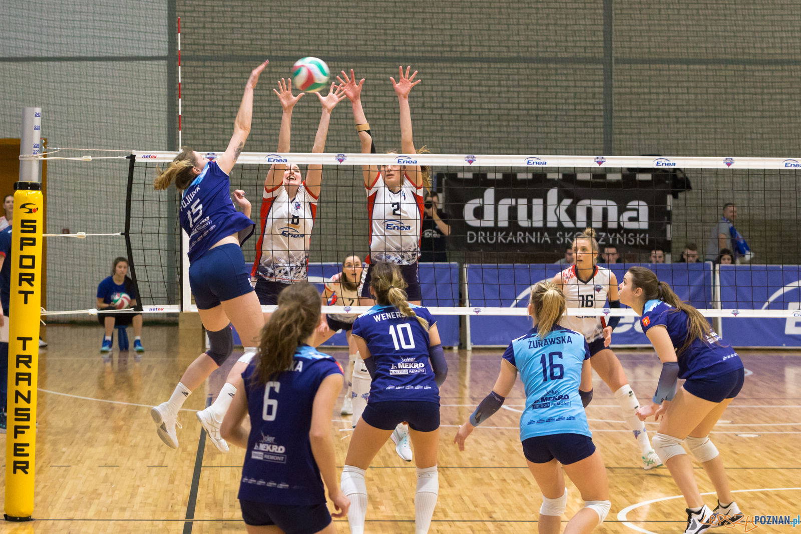 PlayOff: Enea Energetyk Poznań - Joker Mekro Świecie Foto: lepszyPOZNAN.pl/Piotr Rychter PlayOff: Enea Energetyk Poznań - Joker Mekro Świecie Foto: lepszyPOZNAN.pl/Piotr Rychter