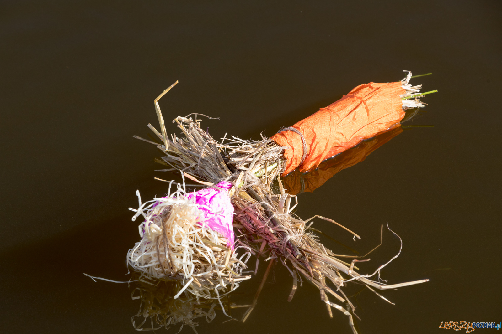 Pogrzeb Zimy i Rowerowe Powitanie Wiosny Foto: lepszyPOZNAN.pl/Piotr Rychter Pogrzeb Zimy i Rowerowe Powitanie Wiosny Foto: lepszyPOZNAN.pl/Piotr Rychter