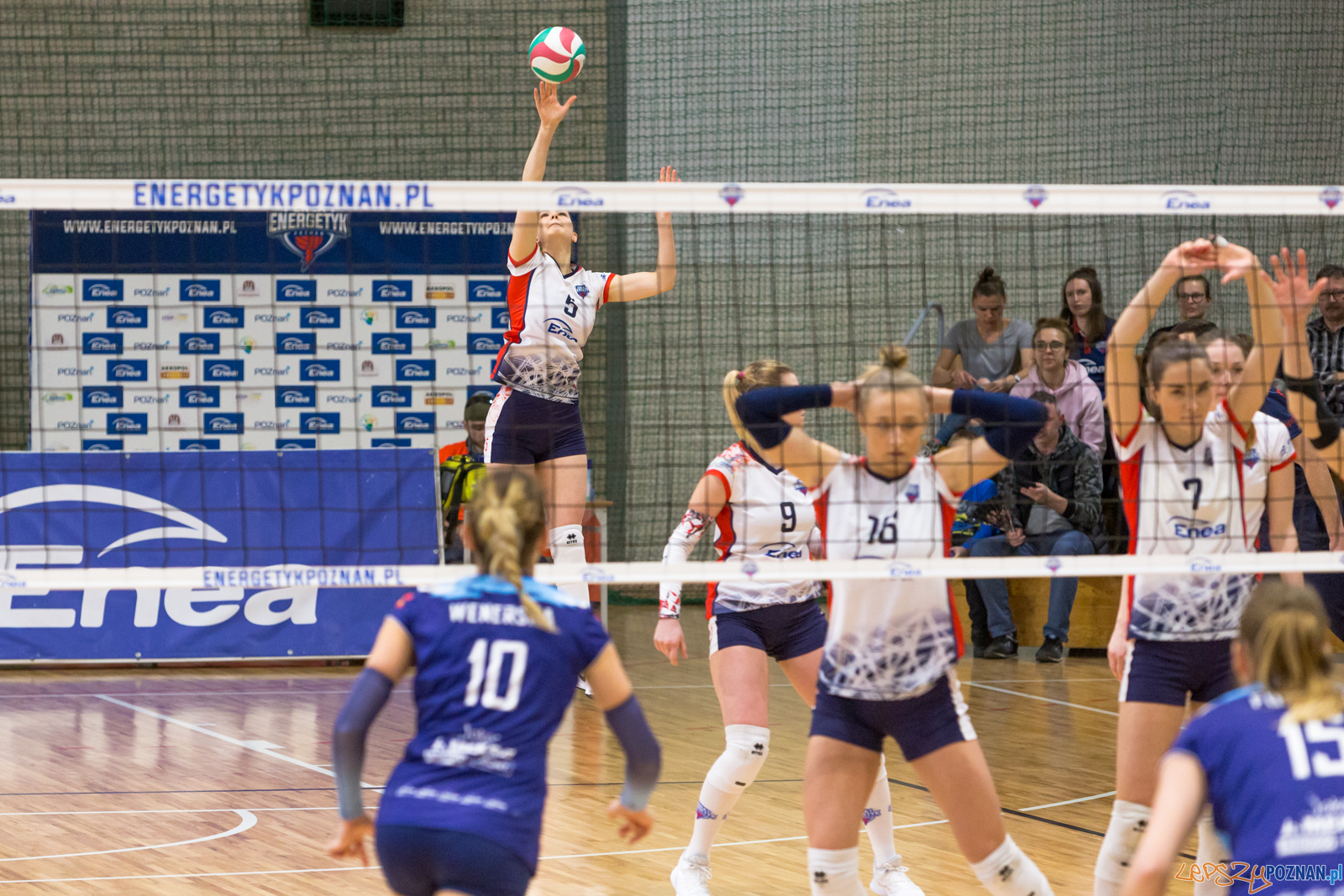 PlayOff: Enea Energetyk Poznań - Joker Mekro Świecie Foto: lepszyPOZNAN.pl/Piotr Rychter PlayOff: Enea Energetyk Poznań - Joker Mekro Świecie Foto: lepszyPOZNAN.pl/Piotr Rychter