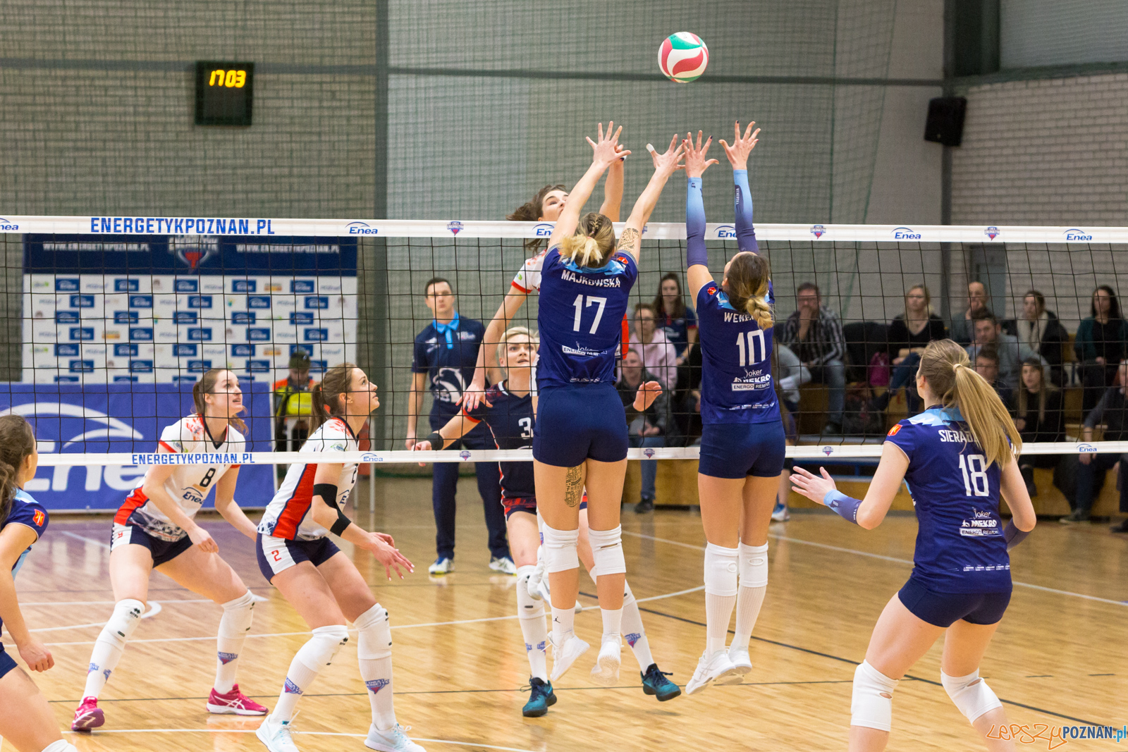 PlayOff: Enea Energetyk Poznań - Joker Mekro Świecie Foto: lepszyPOZNAN.pl/Piotr Rychter PlayOff: Enea Energetyk Poznań - Joker Mekro Świecie Foto: lepszyPOZNAN.pl/Piotr Rychter