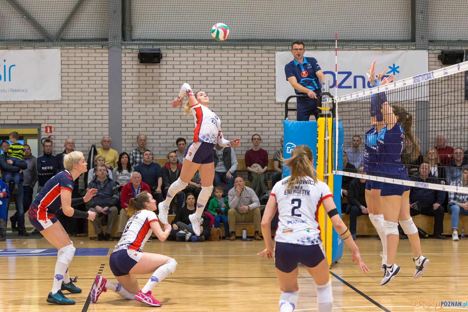 PlayOff: Enea Energetyk Poznań - Joker Mekro Świecie Foto: lepszyPOZNAN.pl/Piotr Rychter PlayOff: Enea Energetyk Poznań - Joker Mekro Świecie Foto: lepszyPOZNAN.pl/Piotr Rychter