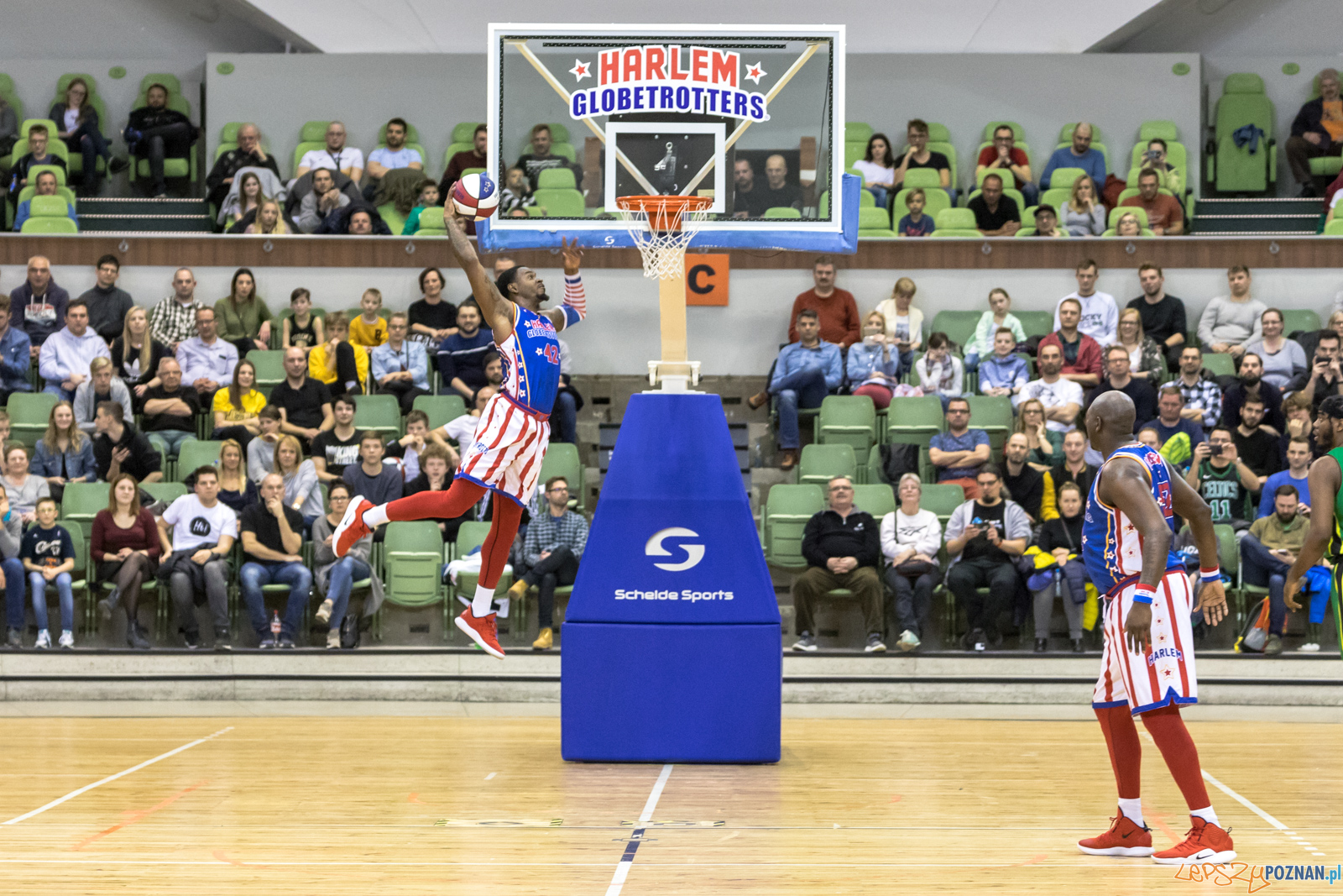 Harlem Globetrotters w Poznaniu Foto: lepszyPOZNAN.pl/Piotr Rychter Harlem Globetrotters w Poznaniu Foto: lepszyPOZNAN.pl/Piotr Rychter