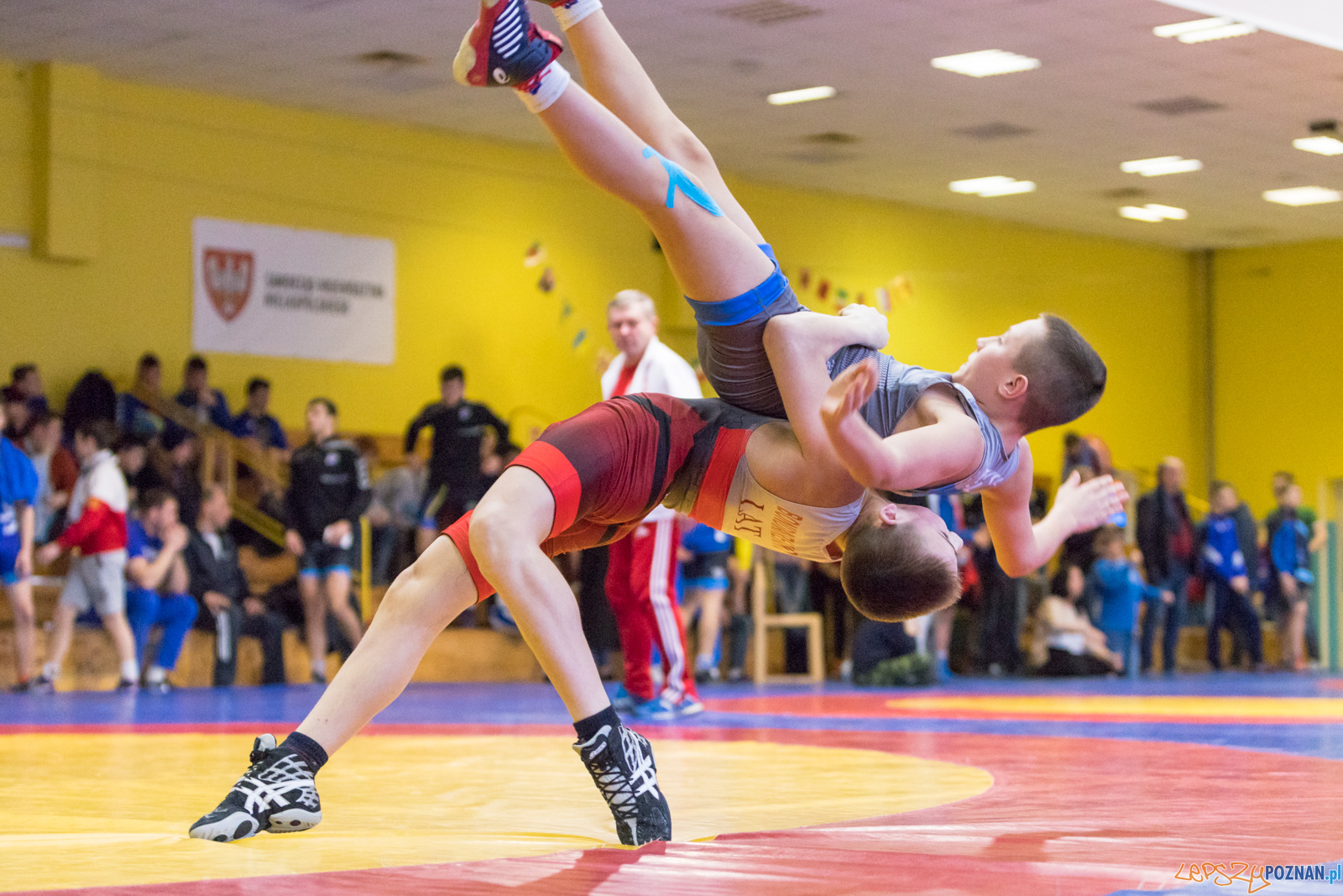 XXVII Międzynarodowy Turniej Zapaśniczy o
Puchar Sobieskiego Foto: lepszyPOZNAN.pl/Piotr Rychter XXVII Międzynarodowy Turniej Zapaśniczy o
Puchar Sobieskiego Foto: lepszyPOZNAN.pl/Piotr Rychter