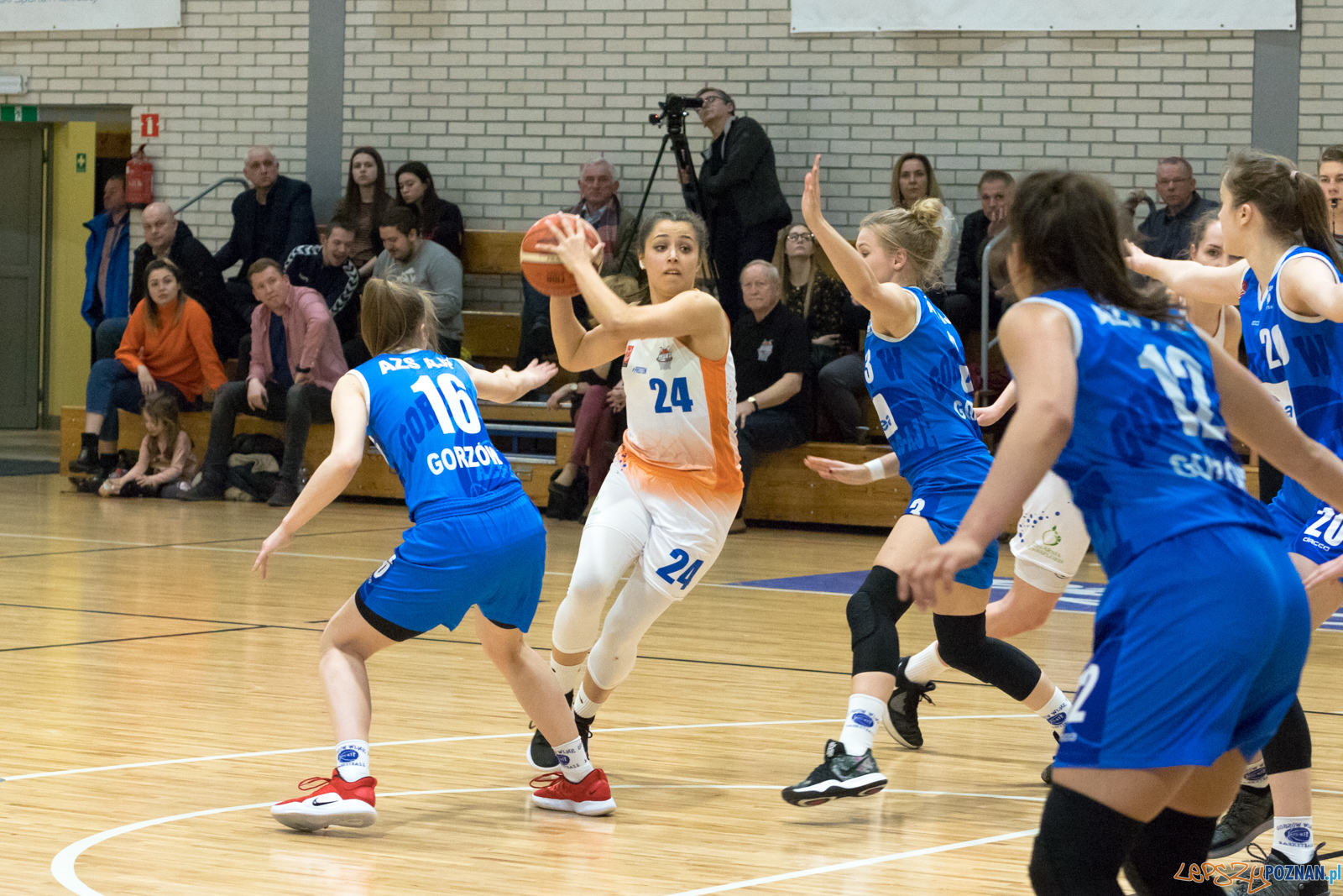 MUKS Poznań vs ENEA AZS AJP II Gorzów Wielkopolski Play Off Foto: lepszyPOZNAN.pl/Piotr Rychter MUKS Poznań vs ENEA AZS AJP II Gorzów Wielkopolski Play Off Foto: lepszyPOZNAN.pl/Piotr Rychter