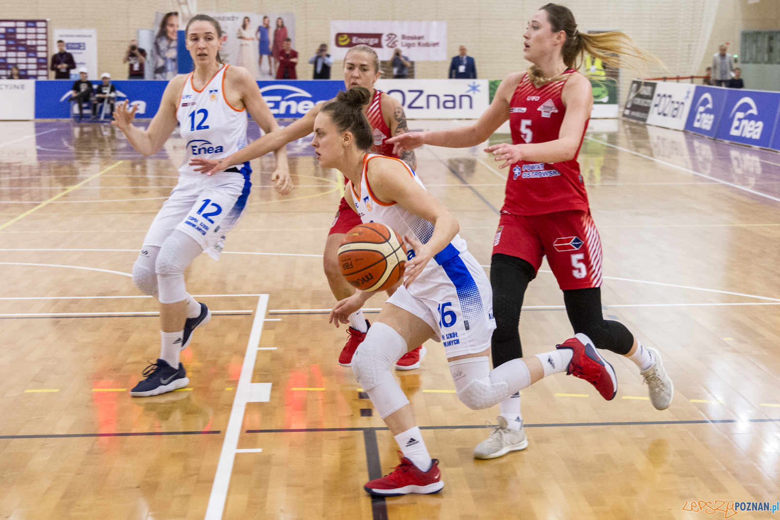 Enea AZS Poznań – TS Ostrovia Ostrów Wlkp. 69:68 - Poznań 2 Foto: LepszyPOZNAN.pl / Paweł Rychter Enea AZS Poznań – TS Ostrovia Ostrów Wlkp. 69:68 - Poznań 2 Foto: LepszyPOZNAN.pl / Paweł Rychter