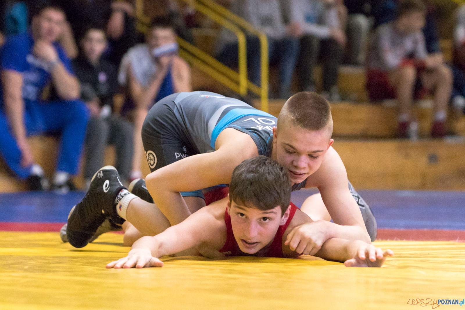 XXVII Międzynarodowy Turniej Zapaśniczy o
Puchar Sobieskiego Foto: lepszyPOZNAN.pl/Piotr Rychter XXVII Międzynarodowy Turniej Zapaśniczy o
Puchar Sobieskiego Foto: lepszyPOZNAN.pl/Piotr Rychter