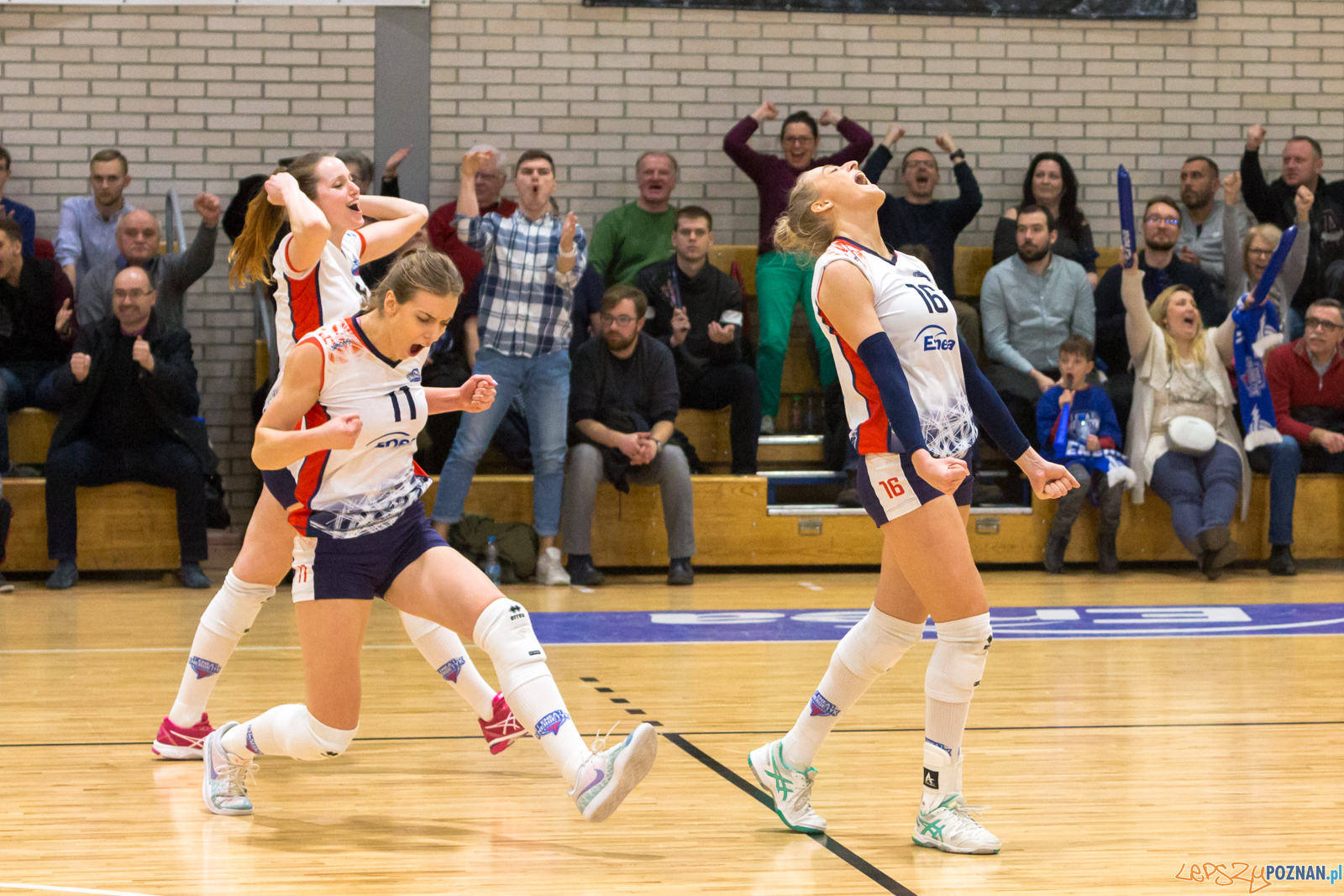 PlayOff: Enea Energetyk Poznań - Joker Mekro Świecie Foto: lepszyPOZNAN.pl/Piotr Rychter PlayOff: Enea Energetyk Poznań - Joker Mekro Świecie Foto: lepszyPOZNAN.pl/Piotr Rychter