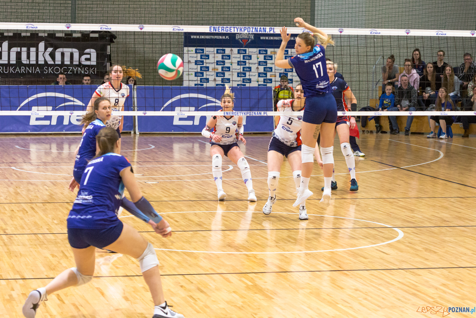 PlayOff: Enea Energetyk Poznań - Joker Mekro Świecie Foto: lepszyPOZNAN.pl/Piotr Rychter PlayOff: Enea Energetyk Poznań - Joker Mekro Świecie Foto: lepszyPOZNAN.pl/Piotr Rychter