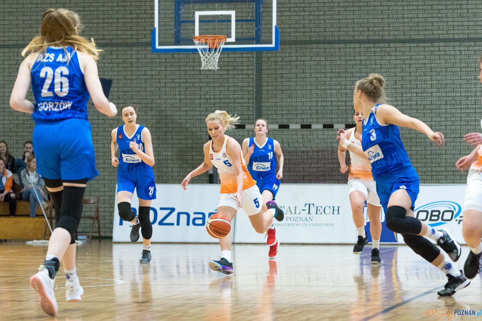 MUKS Poznań vs ENEA AZS AJP II Gorzów Wielkopolski Play Off Foto: lepszyPOZNAN.pl/Piotr Rychter MUKS Poznań vs ENEA AZS AJP II Gorzów Wielkopolski Play Off Foto: lepszyPOZNAN.pl/Piotr Rychter