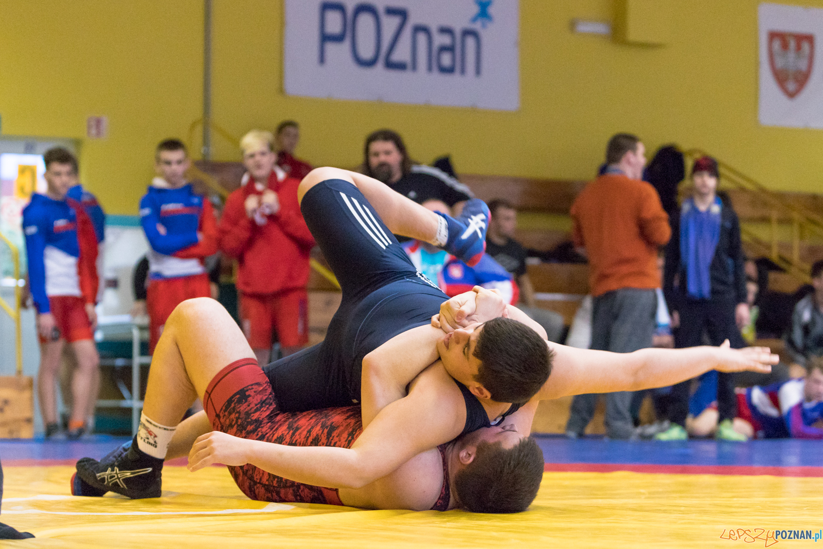 XXVII Międzynarodowy Turniej Zapaśniczy o
Puchar Sobieskiego Foto: lepszyPOZNAN.pl/Piotr Rychter XXVII Międzynarodowy Turniej Zapaśniczy o
Puchar Sobieskiego Foto: lepszyPOZNAN.pl/Piotr Rychter