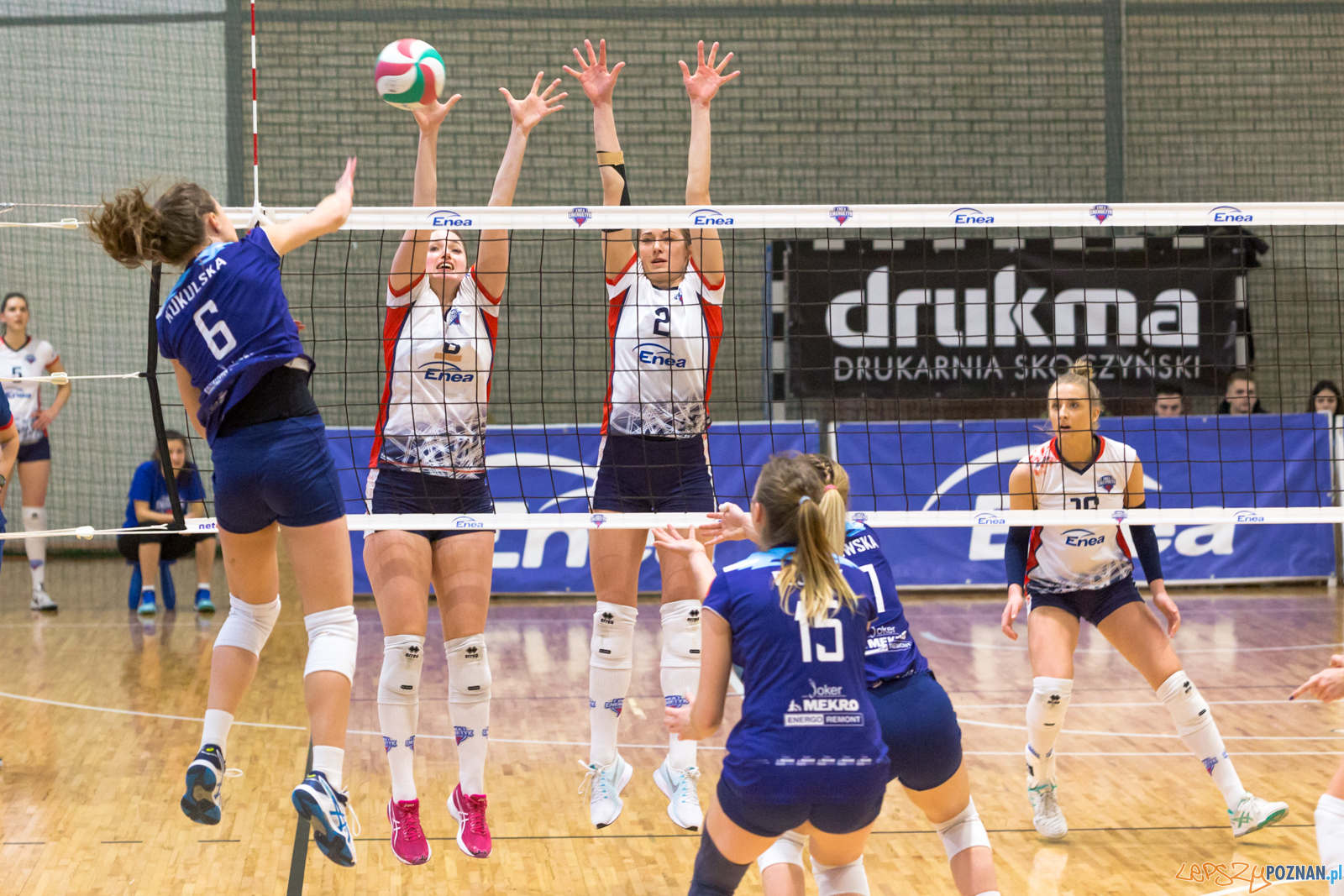 PlayOff: Enea Energetyk Poznań - Joker Mekro Świecie Foto: lepszyPOZNAN.pl/Piotr Rychter PlayOff: Enea Energetyk Poznań - Joker Mekro Świecie Foto: lepszyPOZNAN.pl/Piotr Rychter