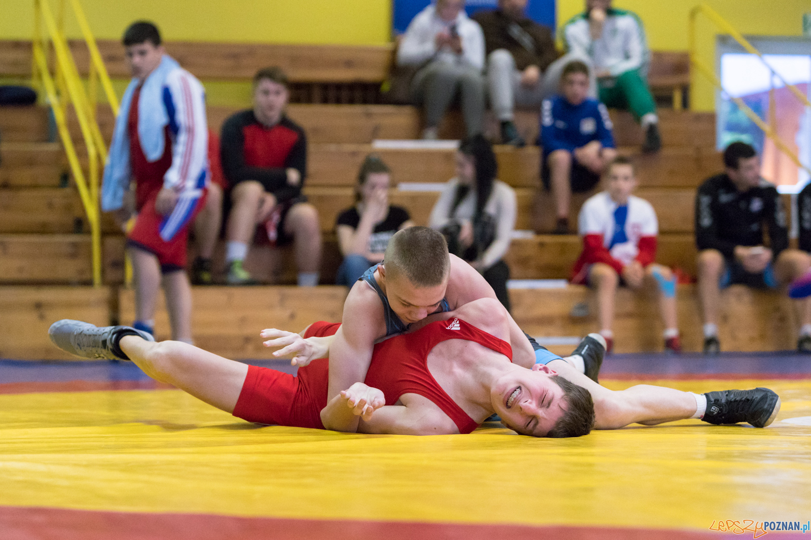 XXVII Międzynarodowy Turniej Zapaśniczy o
Puchar Sobieskiego Foto: lepszyPOZNAN.pl/Piotr Rychter XXVII Międzynarodowy Turniej Zapaśniczy o
Puchar Sobieskiego Foto: lepszyPOZNAN.pl/Piotr Rychter