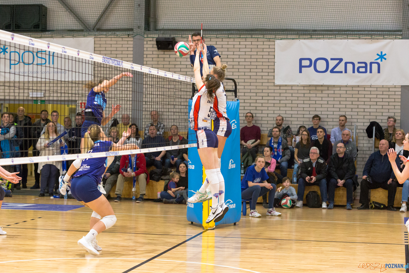 PlayOff: Enea Energetyk Poznań - Joker Mekro Świecie Foto: lepszyPOZNAN.pl/Piotr Rychter PlayOff: Enea Energetyk Poznań - Joker Mekro Świecie Foto: lepszyPOZNAN.pl/Piotr Rychter