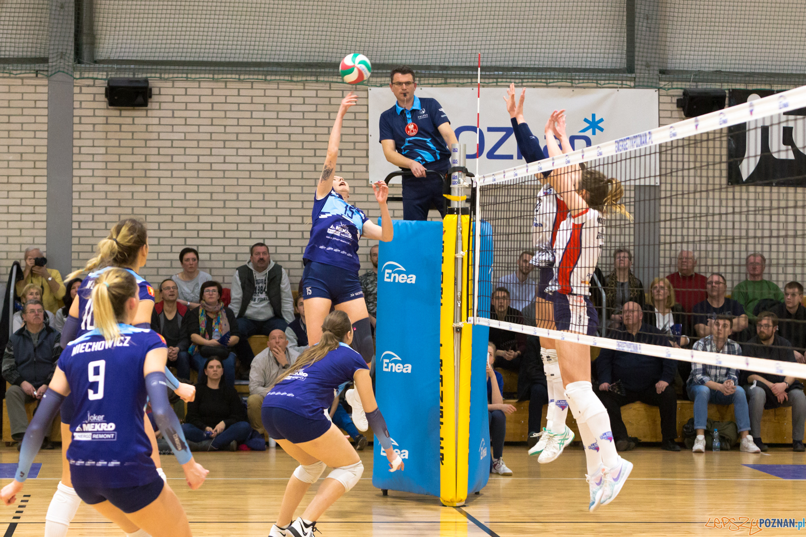 PlayOff: Enea Energetyk Poznań - Joker Mekro Świecie Foto: lepszyPOZNAN.pl/Piotr Rychter PlayOff: Enea Energetyk Poznań - Joker Mekro Świecie Foto: lepszyPOZNAN.pl/Piotr Rychter