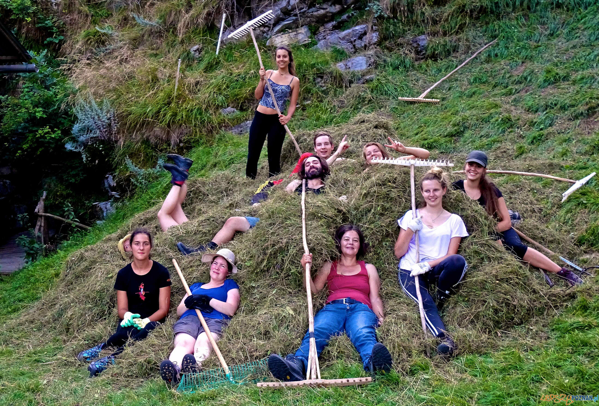 workcamp  Foto: Service Civil International