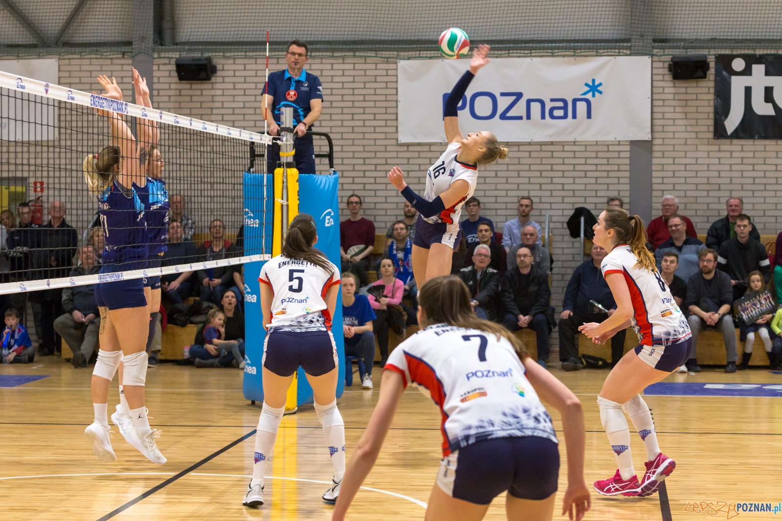 PlayOff: Enea Energetyk Poznań - Joker Mekro Świecie Foto: lepszyPOZNAN.pl/Piotr Rychter PlayOff: Enea Energetyk Poznań - Joker Mekro Świecie Foto: lepszyPOZNAN.pl/Piotr Rychter