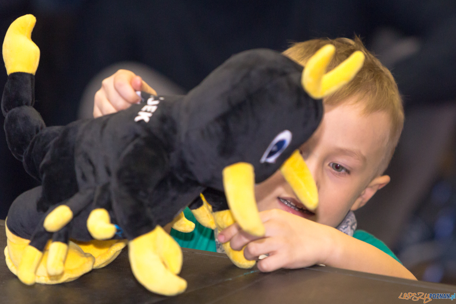 Prezentacja drużyny Power Duck Iveston PSŻ Poznań Foto: lepszyPOZNAN.pl/Piotr Rychter Prezentacja drużyny Power Duck Iveston PSŻ Poznań Foto: lepszyPOZNAN.pl/Piotr Rychter