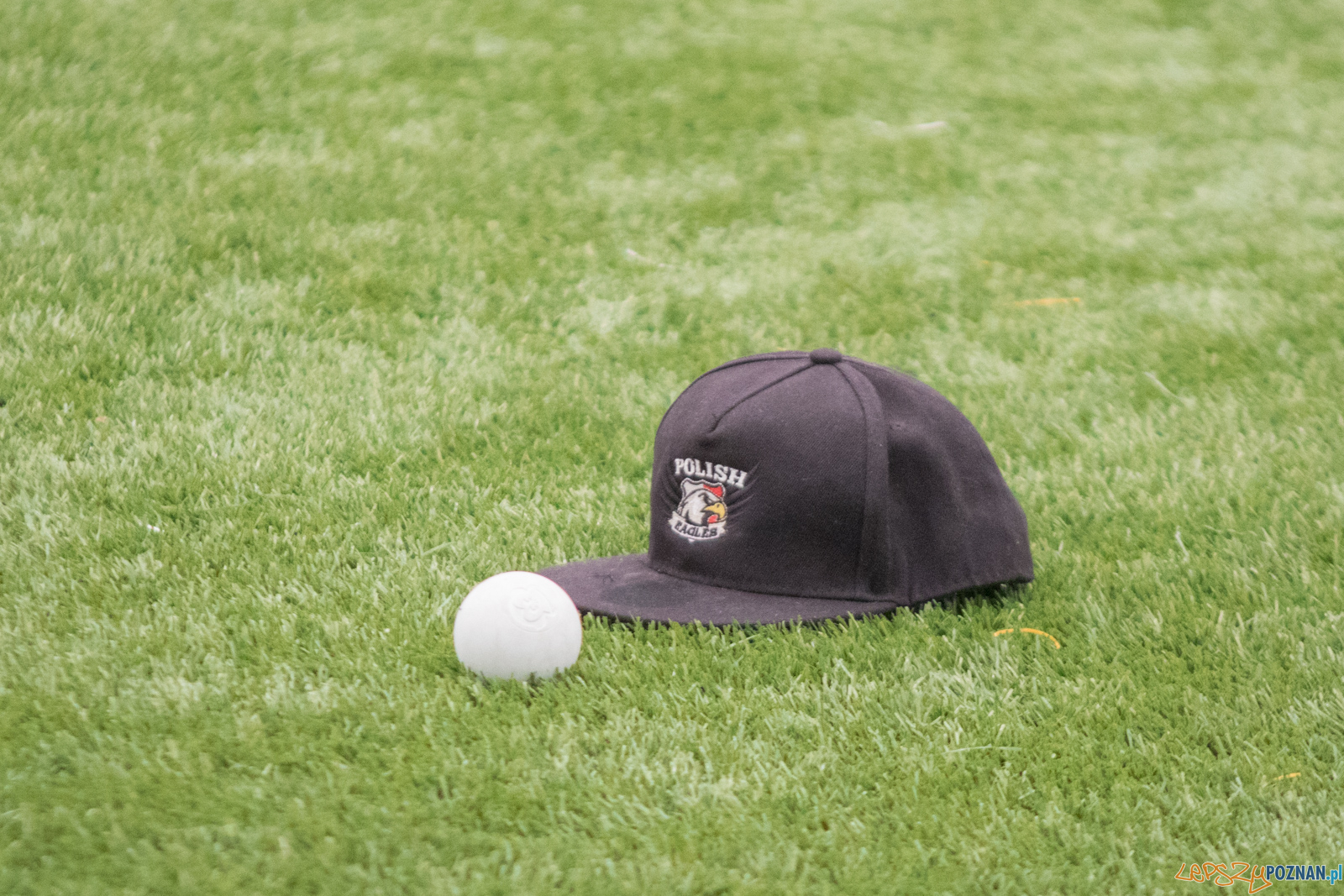 Poznań Hussars vs Grom Warszawa Foto: lepszyPOZNAN.pl / Ewelina Jaśkowiak Poznań Hussars vs Grom Warszawa Foto: lepszyPOZNAN.pl / Ewelina Jaśkowiak