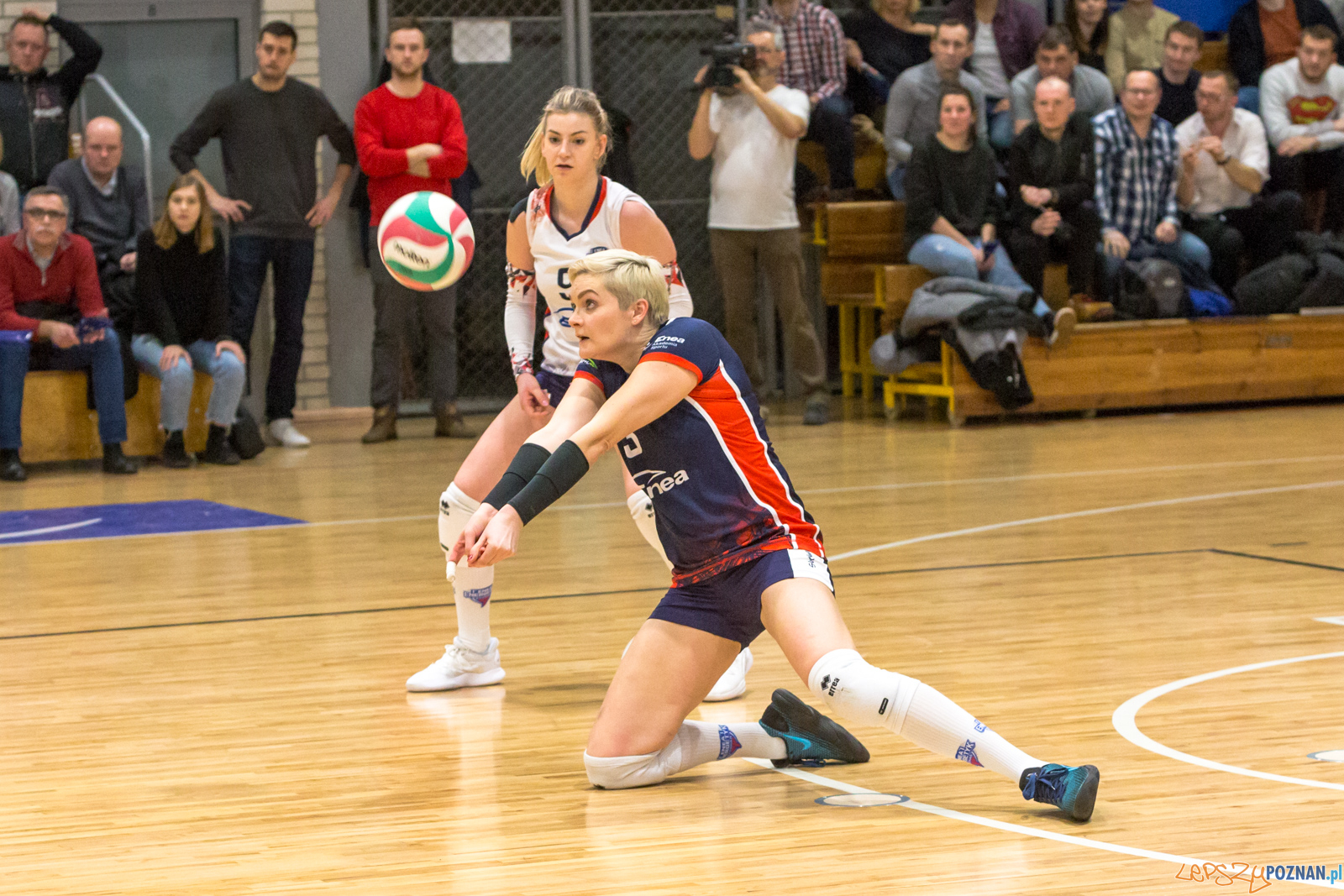 PlayOff: Enea Energetyk Poznań - Joker Mekro Świecie Foto: lepszyPOZNAN.pl/Piotr Rychter PlayOff: Enea Energetyk Poznań - Joker Mekro Świecie Foto: lepszyPOZNAN.pl/Piotr Rychter