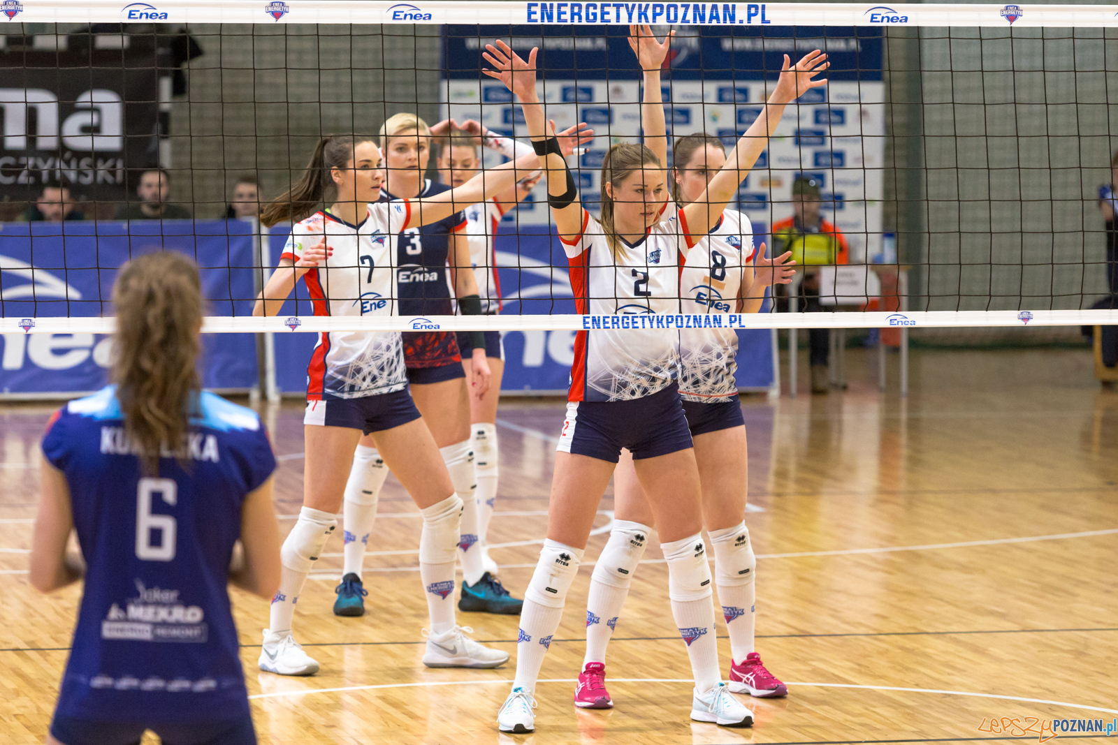 PlayOff: Enea Energetyk Poznań - Joker Mekro Świecie Foto: lepszyPOZNAN.pl/Piotr Rychter PlayOff: Enea Energetyk Poznań - Joker Mekro Świecie Foto: lepszyPOZNAN.pl/Piotr Rychter