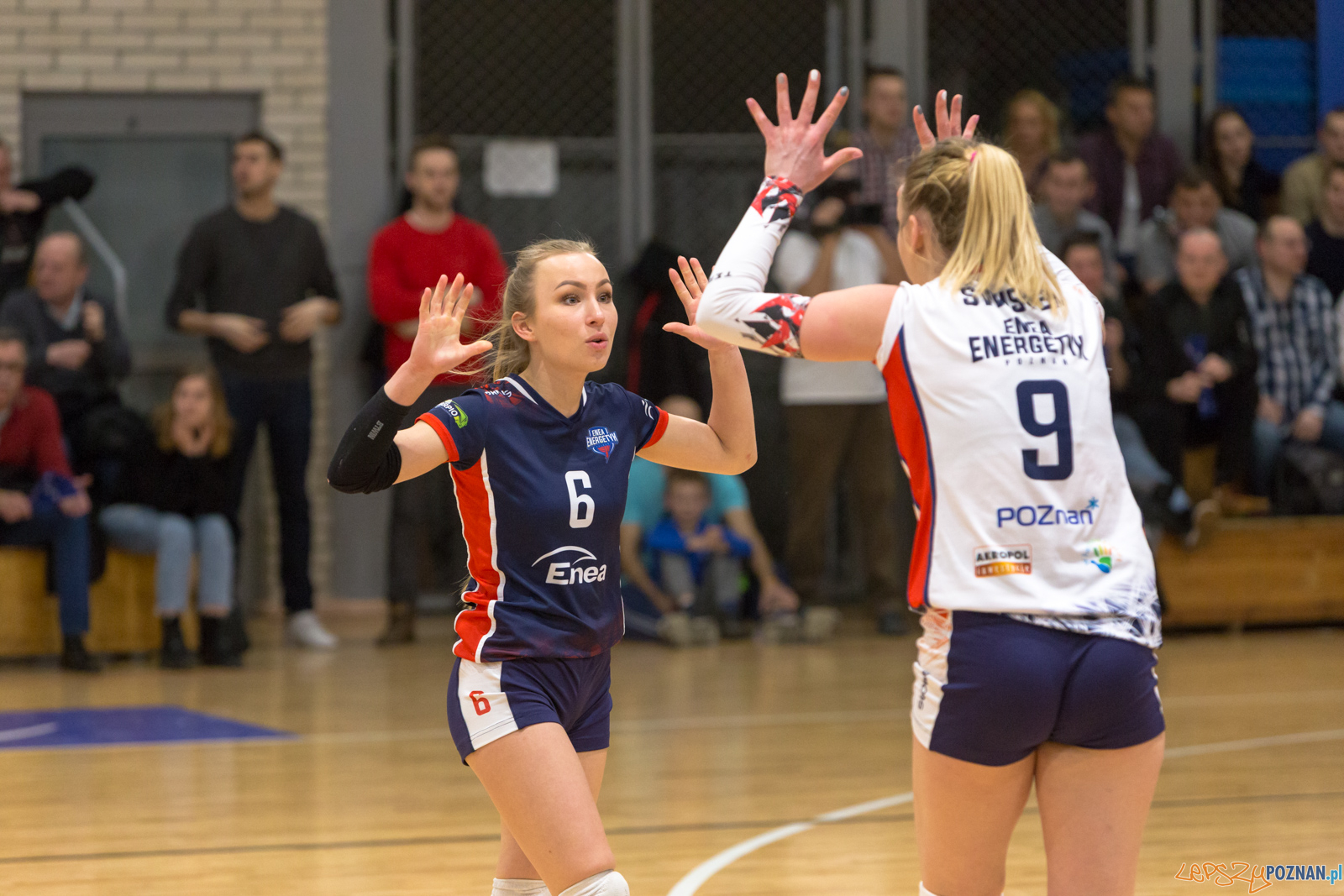 PlayOff: Enea Energetyk Poznań - Joker Mekro Świecie Foto: lepszyPOZNAN.pl/Piotr Rychter PlayOff: Enea Energetyk Poznań - Joker Mekro Świecie Foto: lepszyPOZNAN.pl/Piotr Rychter