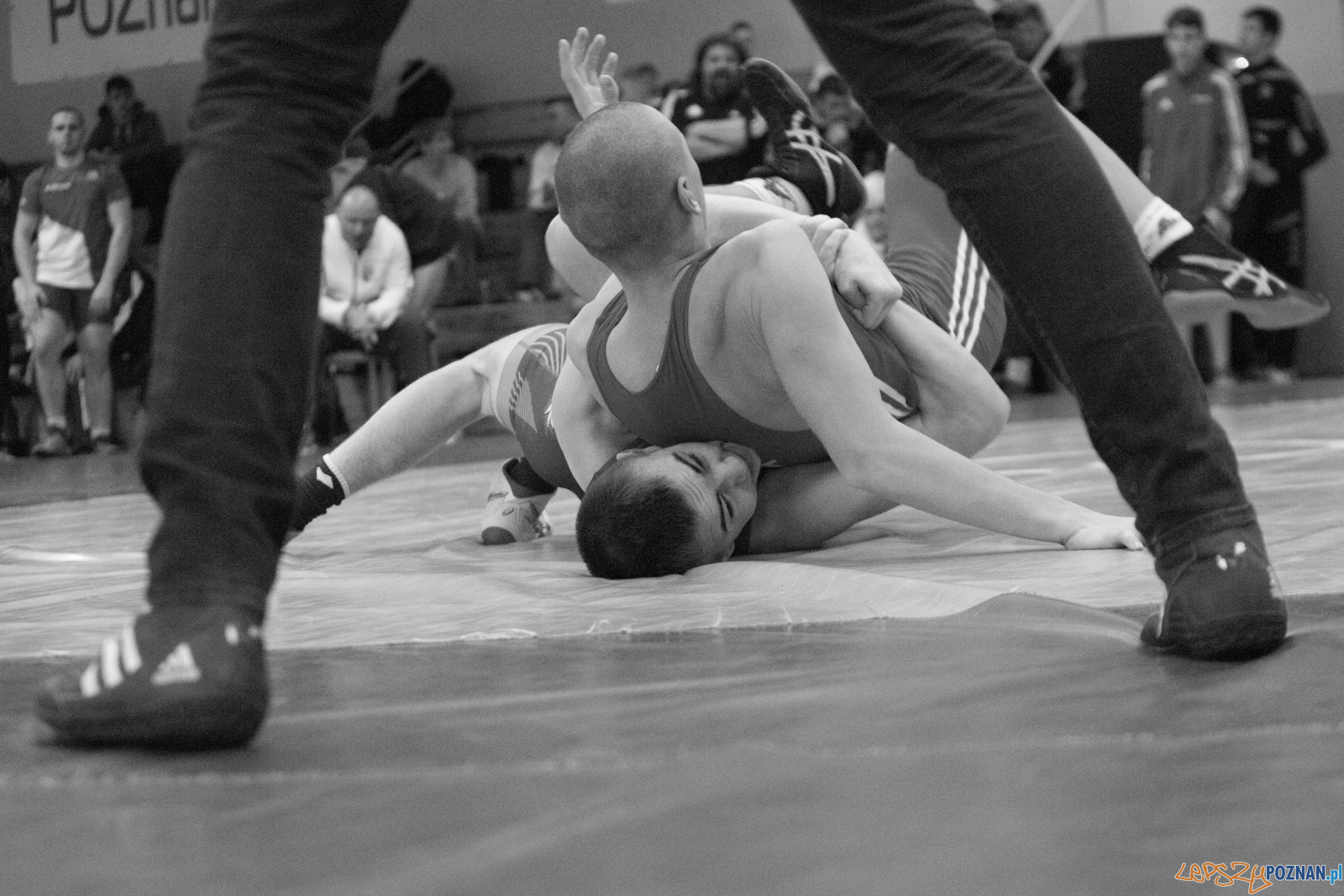 XXVII Międzynarodowy Turniej Zapaśniczy o Puchar Sobieskiego Foto: lepszyPOZNAN.pl / Ewelina Jaśkowiak XXVII Międzynarodowy Turniej Zapaśniczy o Puchar Sobieskiego Foto: lepszyPOZNAN.pl / Ewelina Jaśkowiak