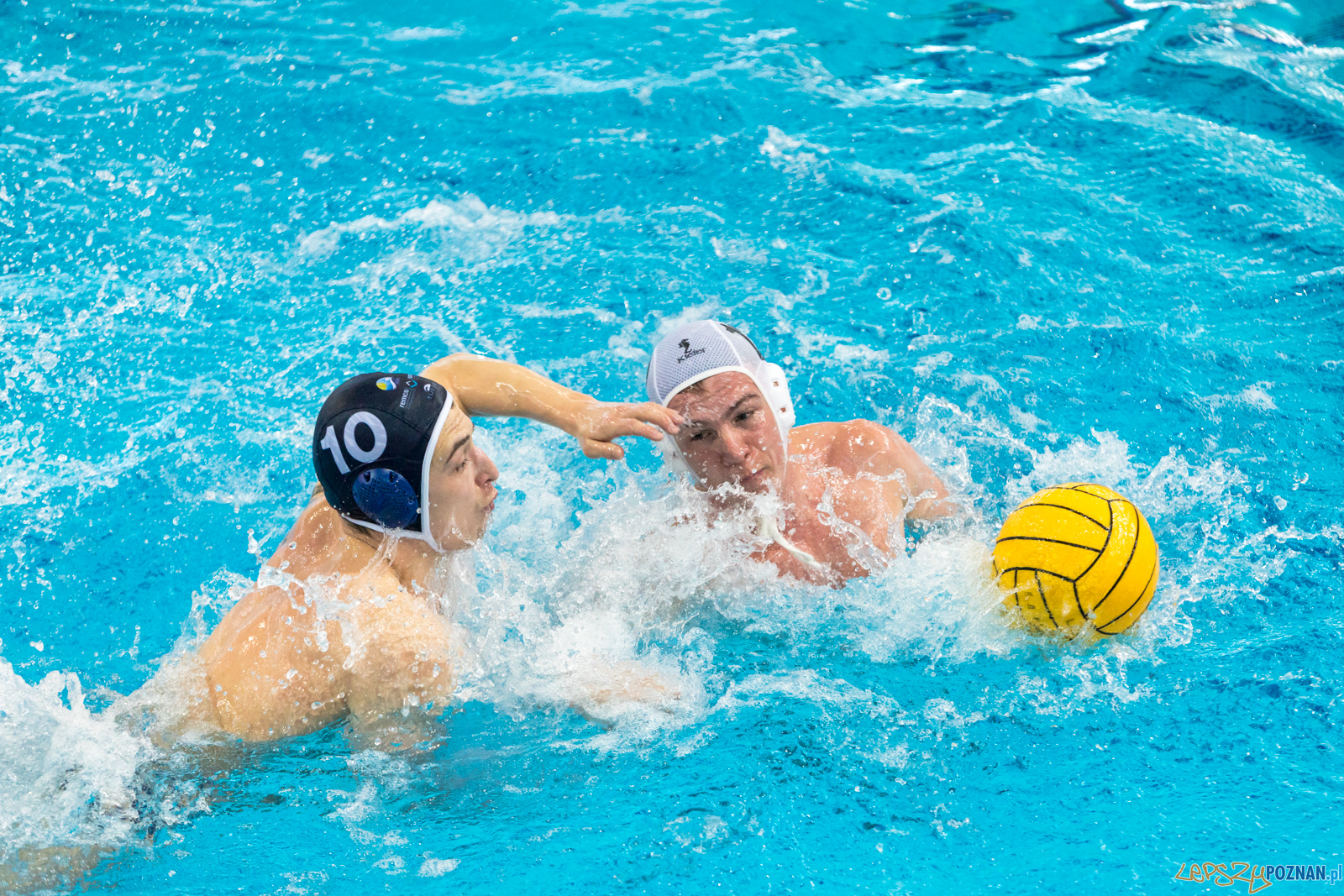 KS Waterpolo Poznań – OCMER ŁSTW Łódź Foto: lepszyPOZNAN.pl/Piotr Rychter KS Waterpolo Poznań – OCMER ŁSTW Łódź Foto: lepszyPOZNAN.pl/Piotr Rychter