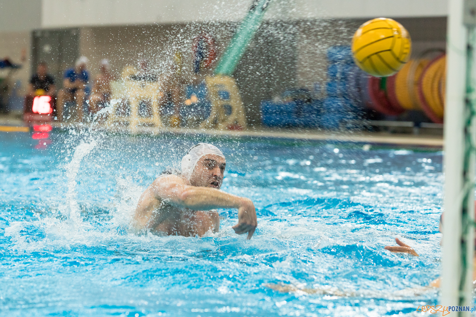 KS Waterpolo Poznań – OCMER ŁSTW Łódź Foto: lepszyPOZNAN.pl/Piotr Rychter KS Waterpolo Poznań – OCMER ŁSTW Łódź Foto: lepszyPOZNAN.pl/Piotr Rychter