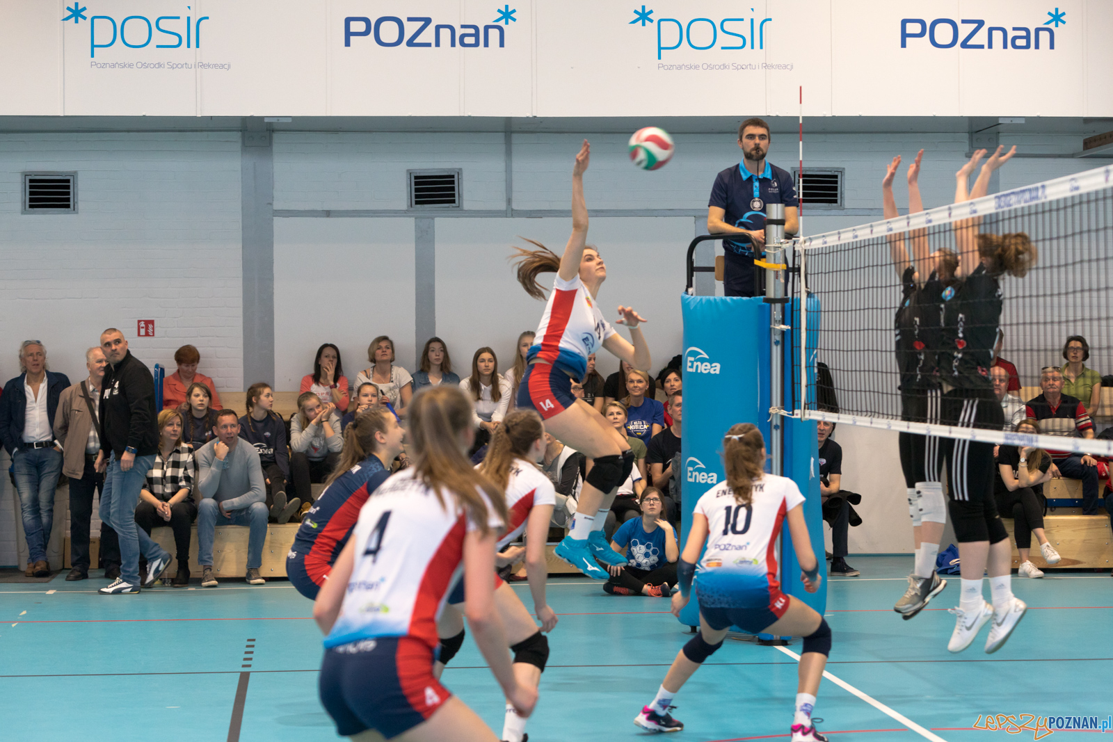 Półfinał Mistrzostw Polski w Piłce Siatkowej Kadetek Foto: lepszyPOZNAN.pl/Piotr Rychter Półfinał Mistrzostw Polski w Piłce Siatkowej Kadetek Foto: lepszyPOZNAN.pl/Piotr Rychter