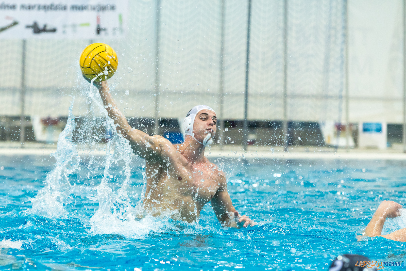 KS Waterpolo Poznań – OCMER ŁSTW Łódź Foto: lepszyPOZNAN.pl/Piotr Rychter KS Waterpolo Poznań – OCMER ŁSTW Łódź Foto: lepszyPOZNAN.pl/Piotr Rychter