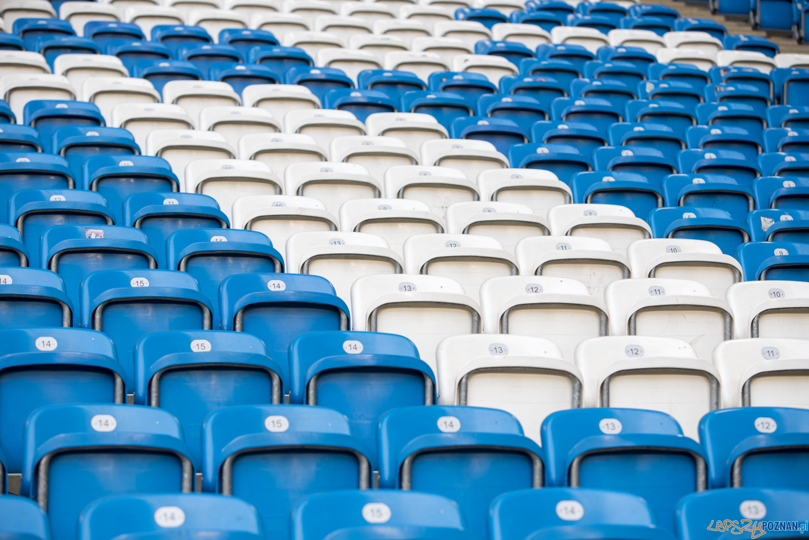 Lech Poznań - Pogoń Szczecin (najlepsi kibice na świecie) Foto: lepszyPOZNAN.pl/Piotr Rychter Lech Poznań - Pogoń Szczecin (najlepsi kibice na świecie) Foto: lepszyPOZNAN.pl/Piotr Rychter