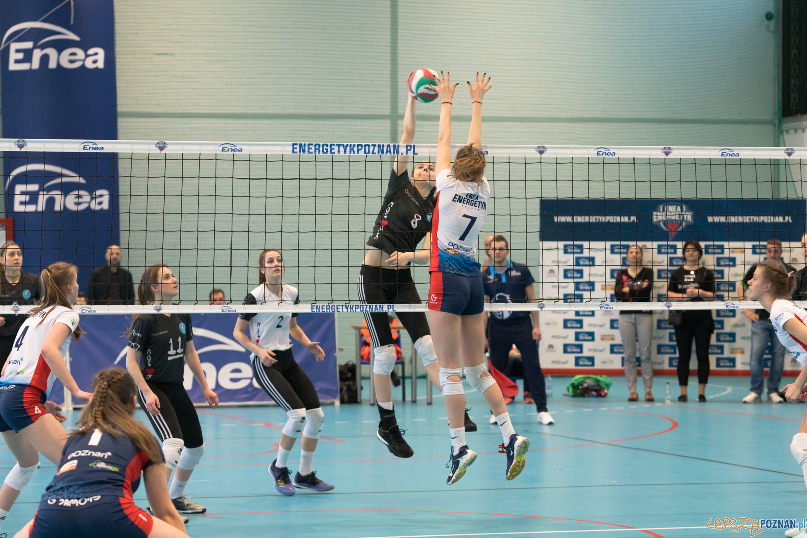 Półfinał Mistrzostw Polski w Piłce Siatkowej Kadetek Foto: lepszyPOZNAN.pl/Piotr Rychter Półfinał Mistrzostw Polski w Piłce Siatkowej Kadetek Foto: lepszyPOZNAN.pl/Piotr Rychter