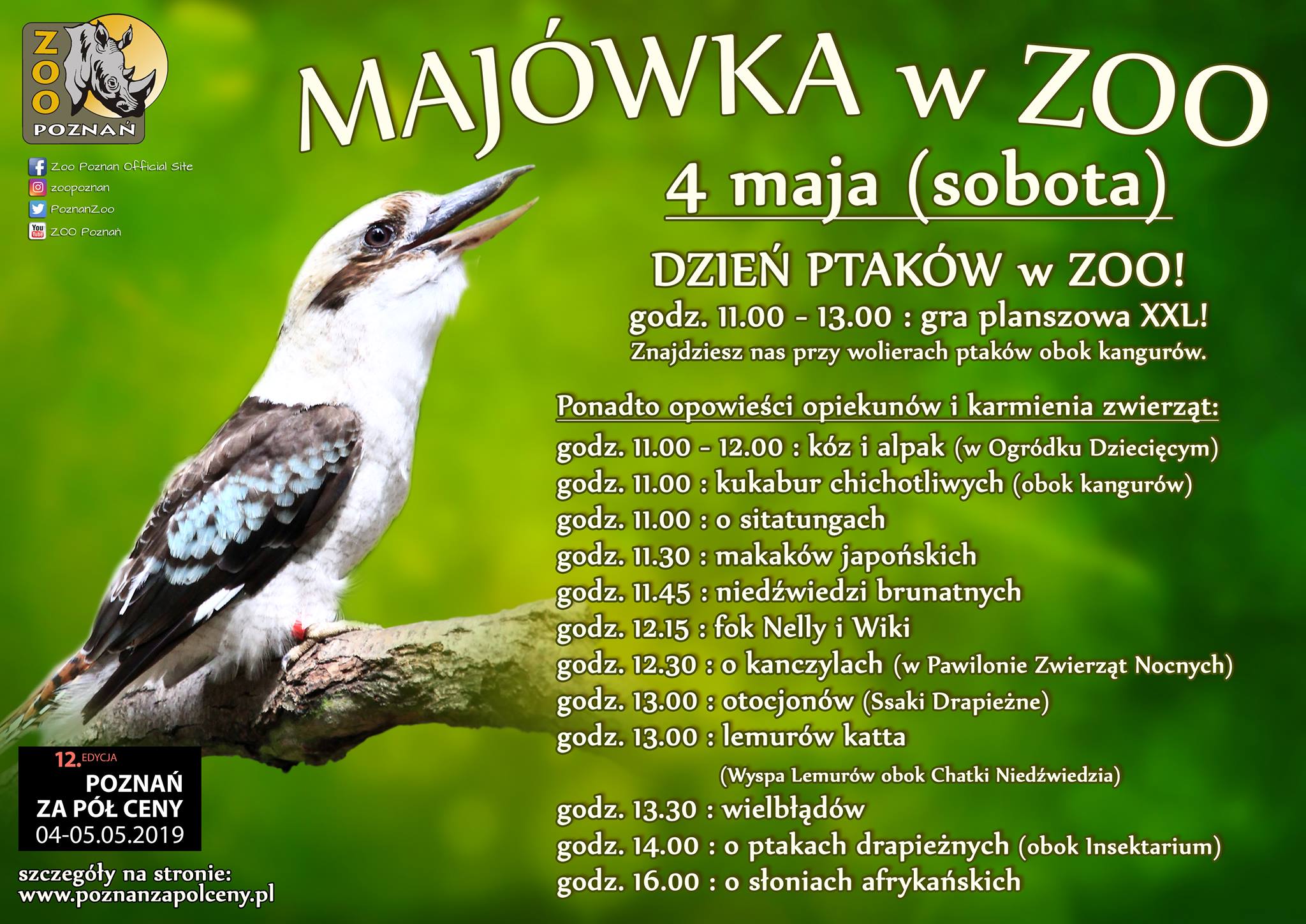 Majówka w Zoo Foto: materiały prasowe Majówka w Zoo Foto: materiały prasowe