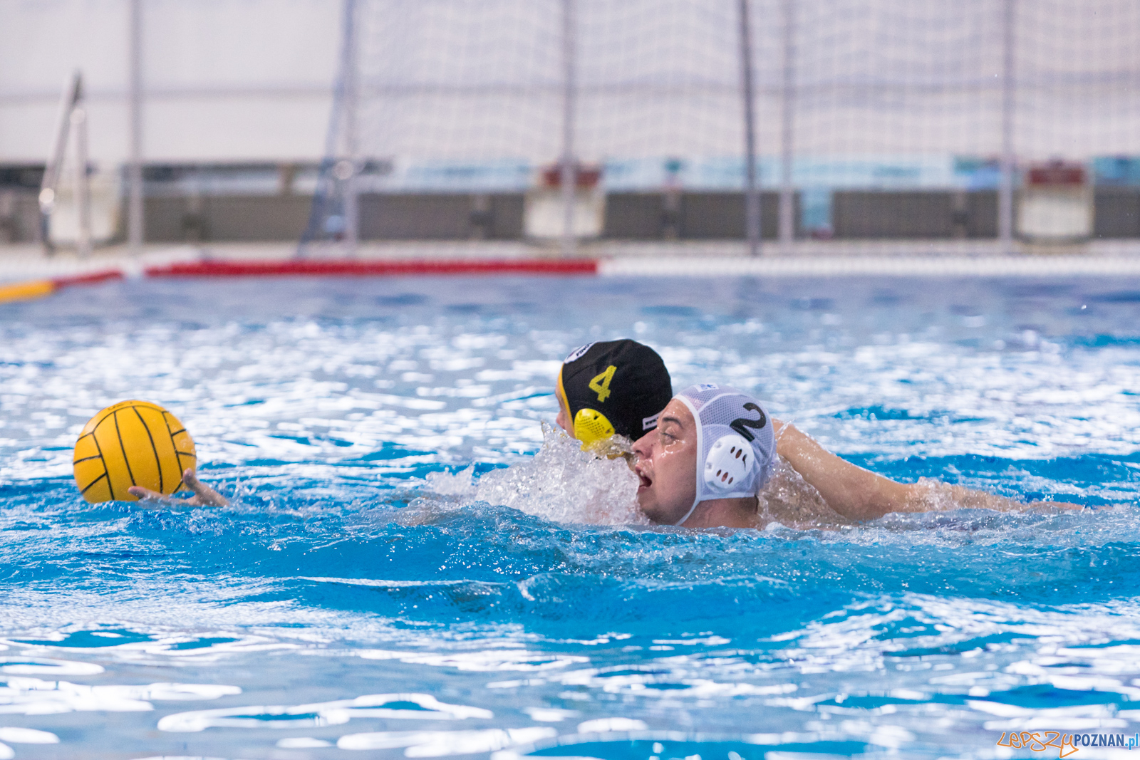 KS Waterpolo Poznań – ŁUKOSZ WTS Polonia Bytom Foto: lepszyPOZNAN.pl/Piotr Rychter KS Waterpolo Poznań – ŁUKOSZ WTS Polonia Bytom Foto: lepszyPOZNAN.pl/Piotr Rychter