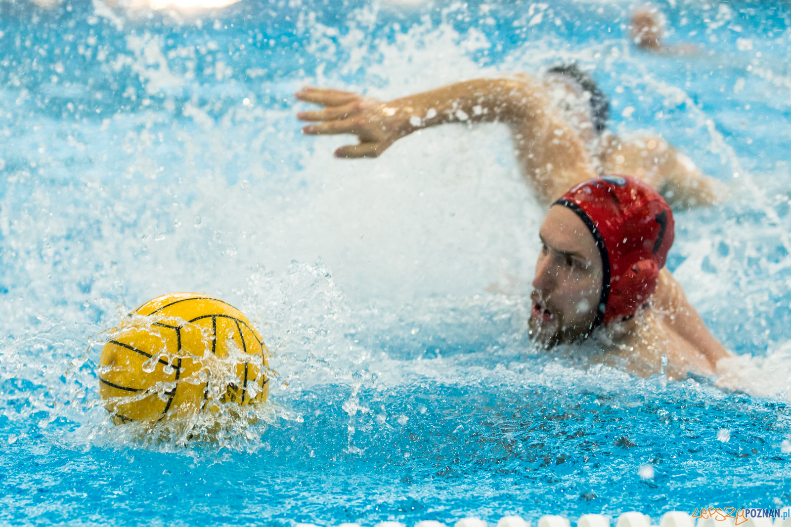 KS Waterpolo Poznań – OCMER ŁSTW Łódź Foto: lepszyPOZNAN.pl/Piotr Rychter KS Waterpolo Poznań – OCMER ŁSTW Łódź Foto: lepszyPOZNAN.pl/Piotr Rychter