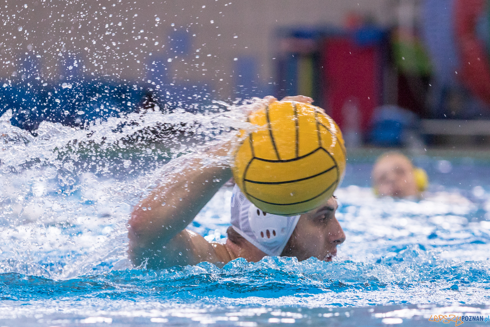 KS Waterpolo Poznań – ŁUKOSZ WTS Polonia Bytom Foto: lepszyPOZNAN.pl/Piotr Rychter KS Waterpolo Poznań – ŁUKOSZ WTS Polonia Bytom Foto: lepszyPOZNAN.pl/Piotr Rychter